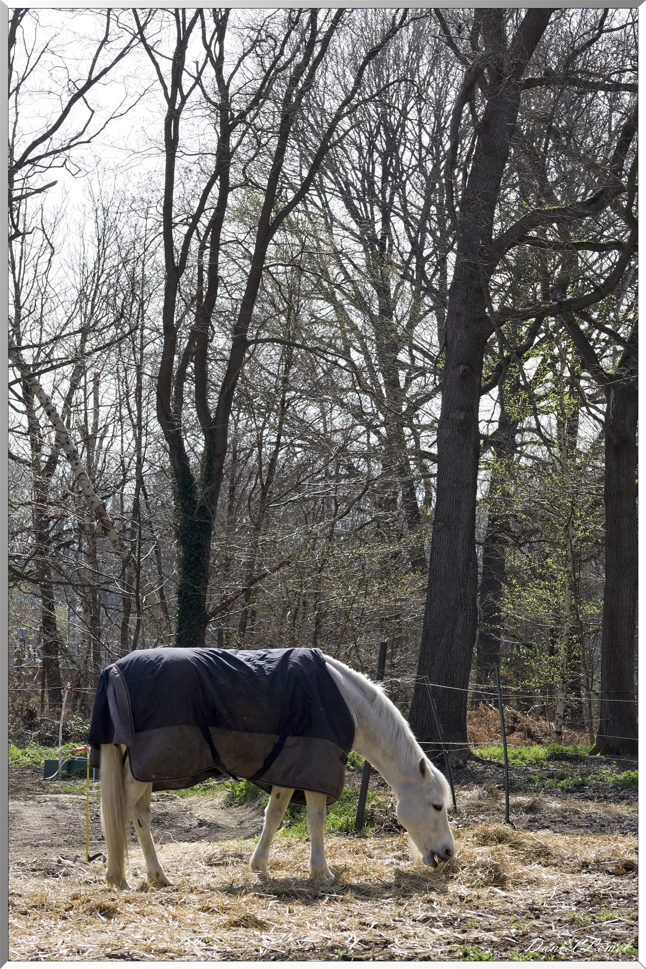 Vernon - Forêt du LRBA