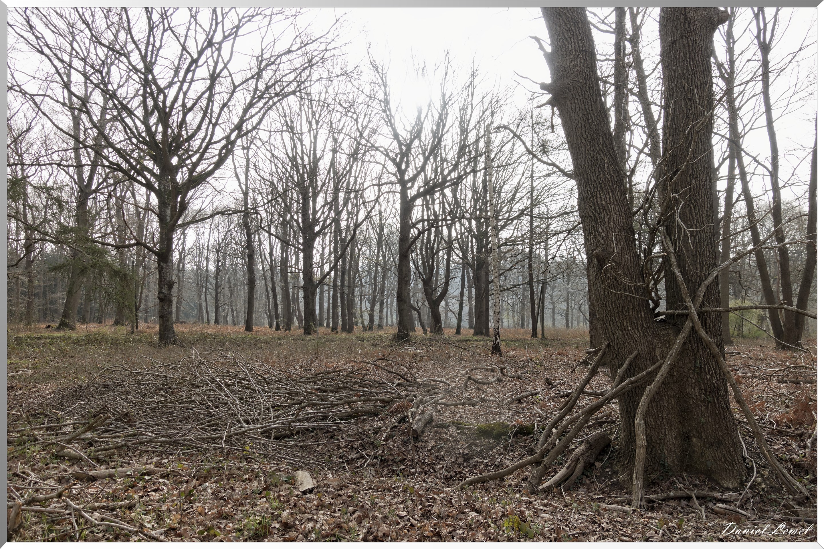 Vernon - Forêt du LRBA
