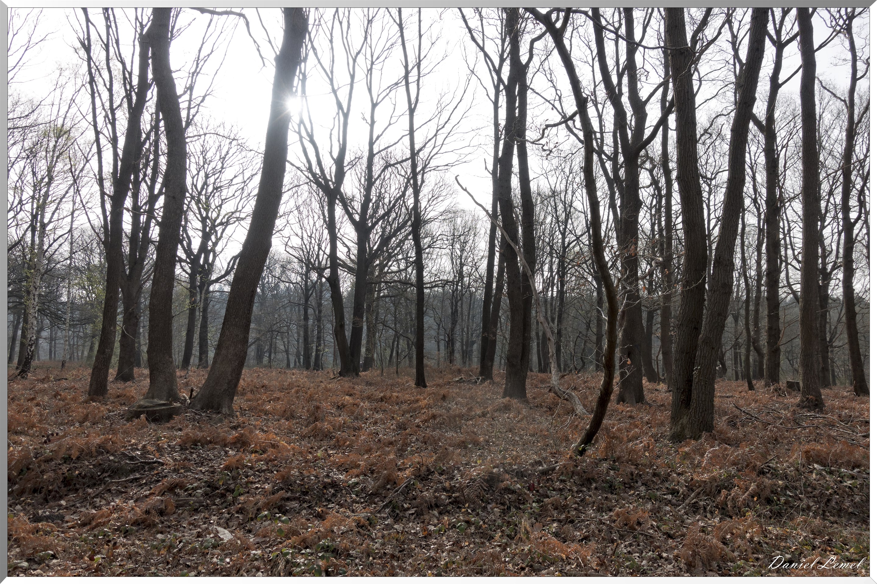 Vernon - Forêt du LRBA