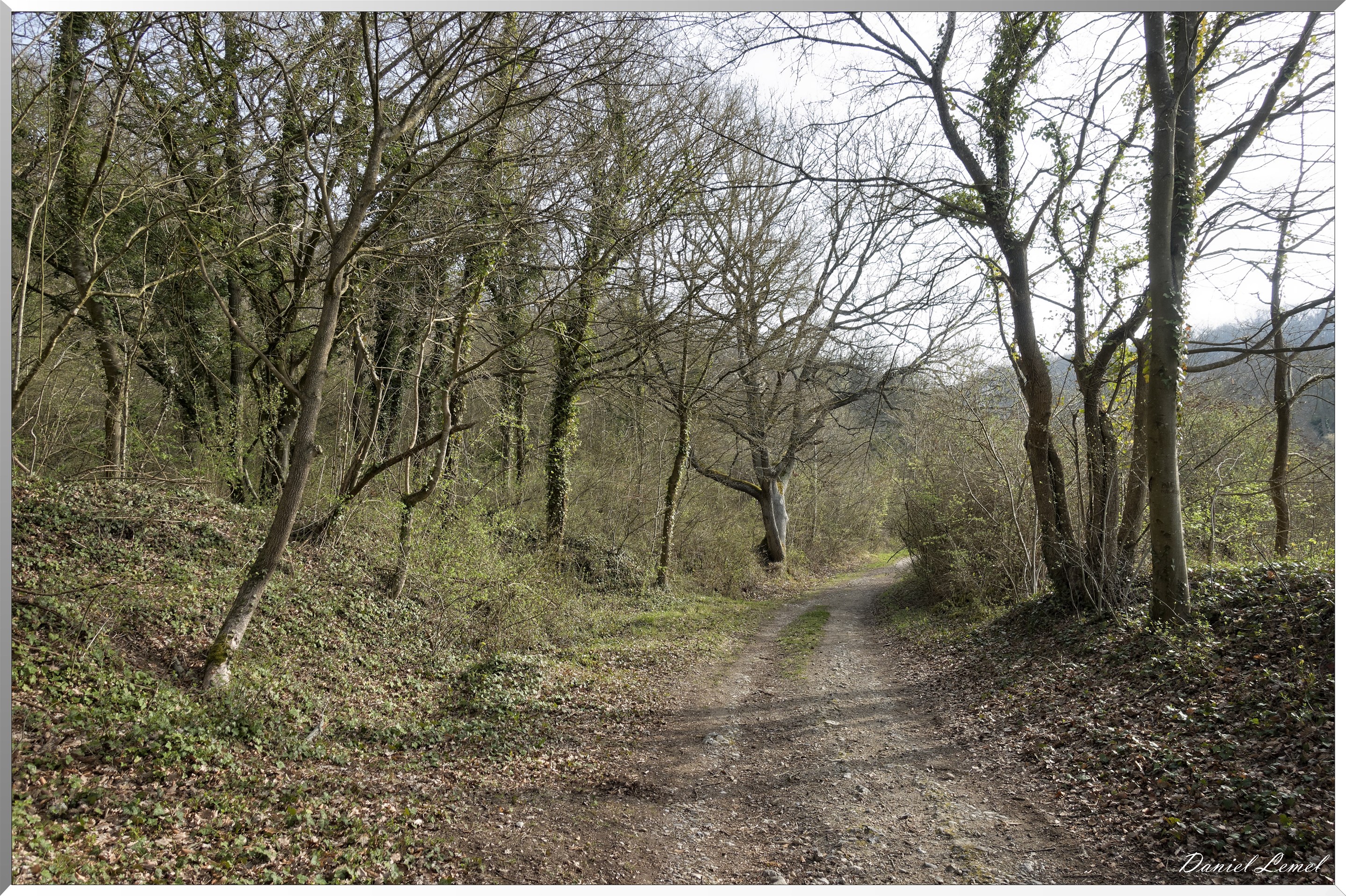 Vernon - Forêt du LRBA