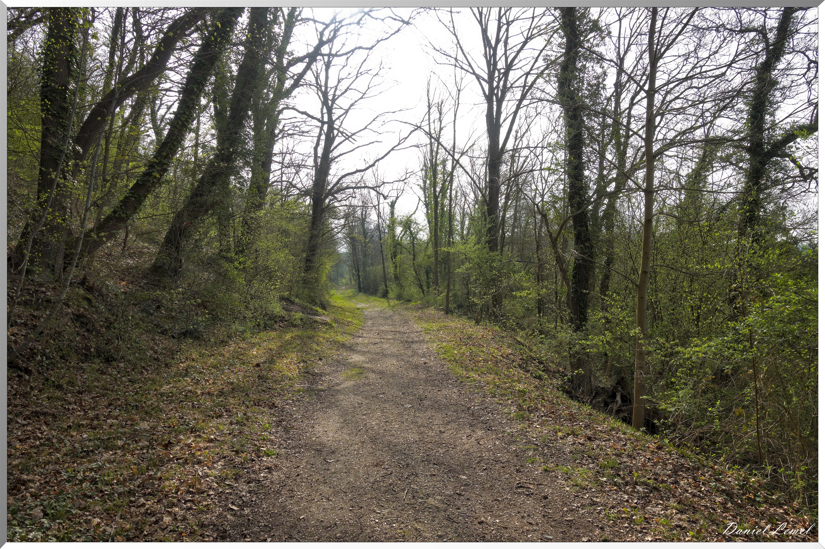 Vernon - Forêt du LRBA