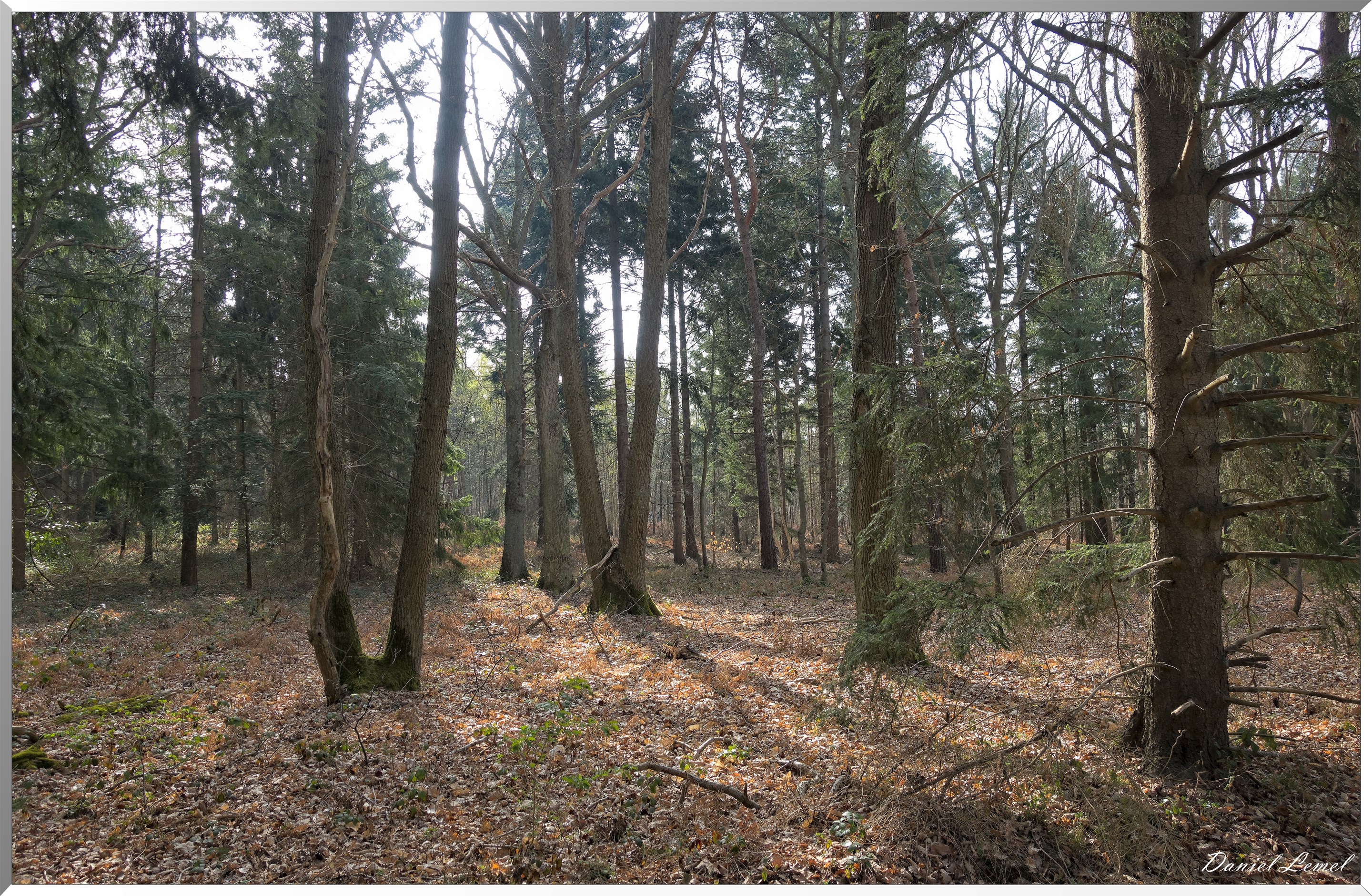 Vernon - Forêt du LRBA