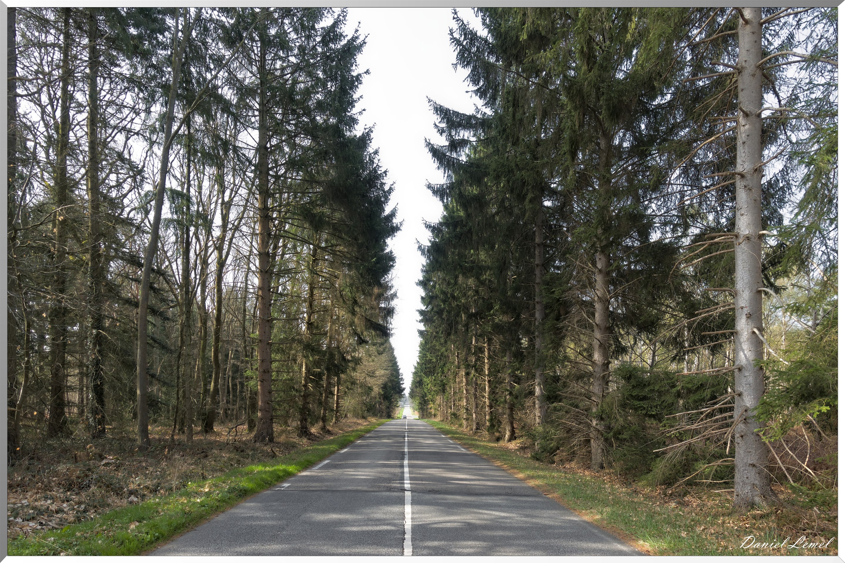 Vernon - Forêt du LRBA