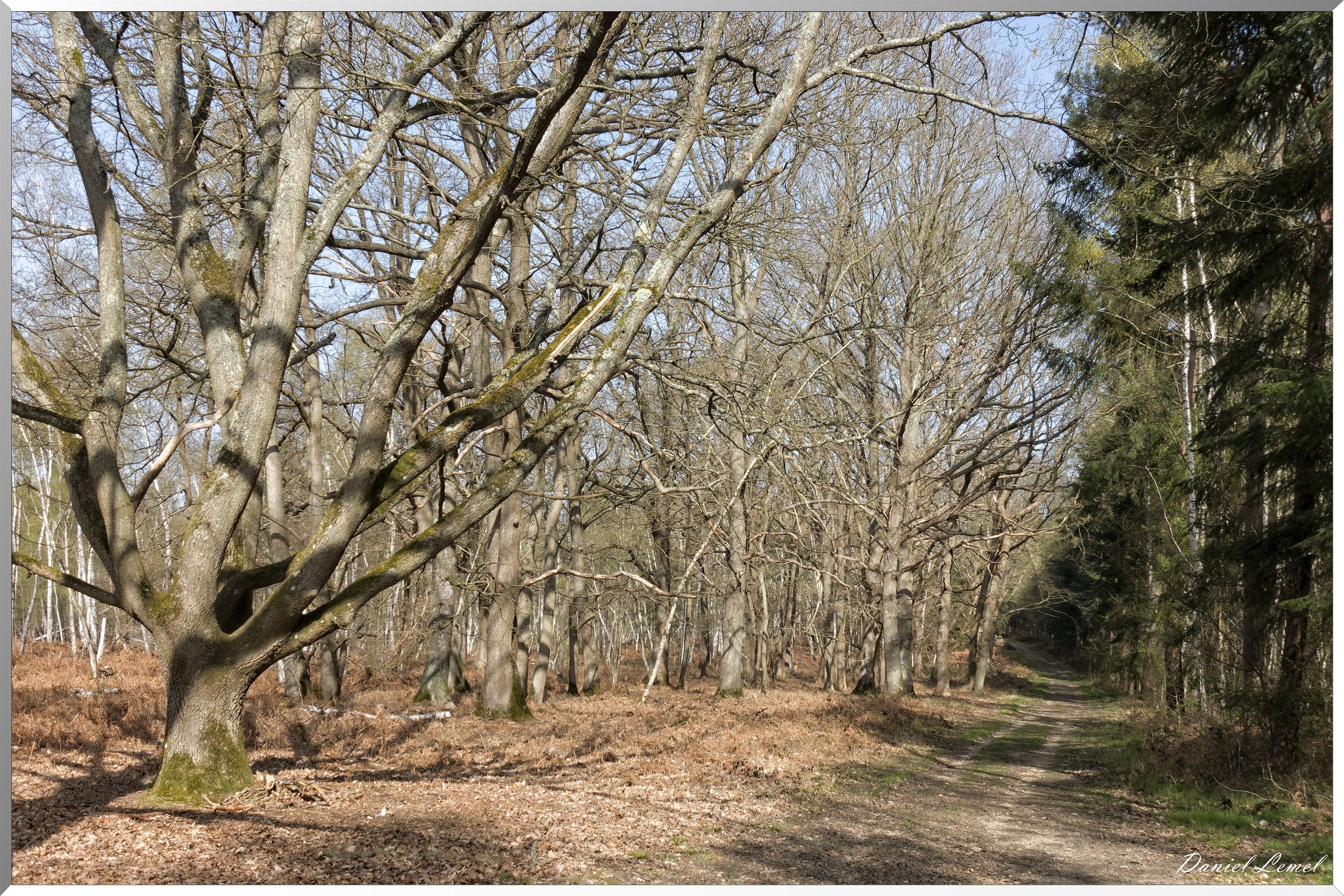 Vernon - Forêt du LRBA