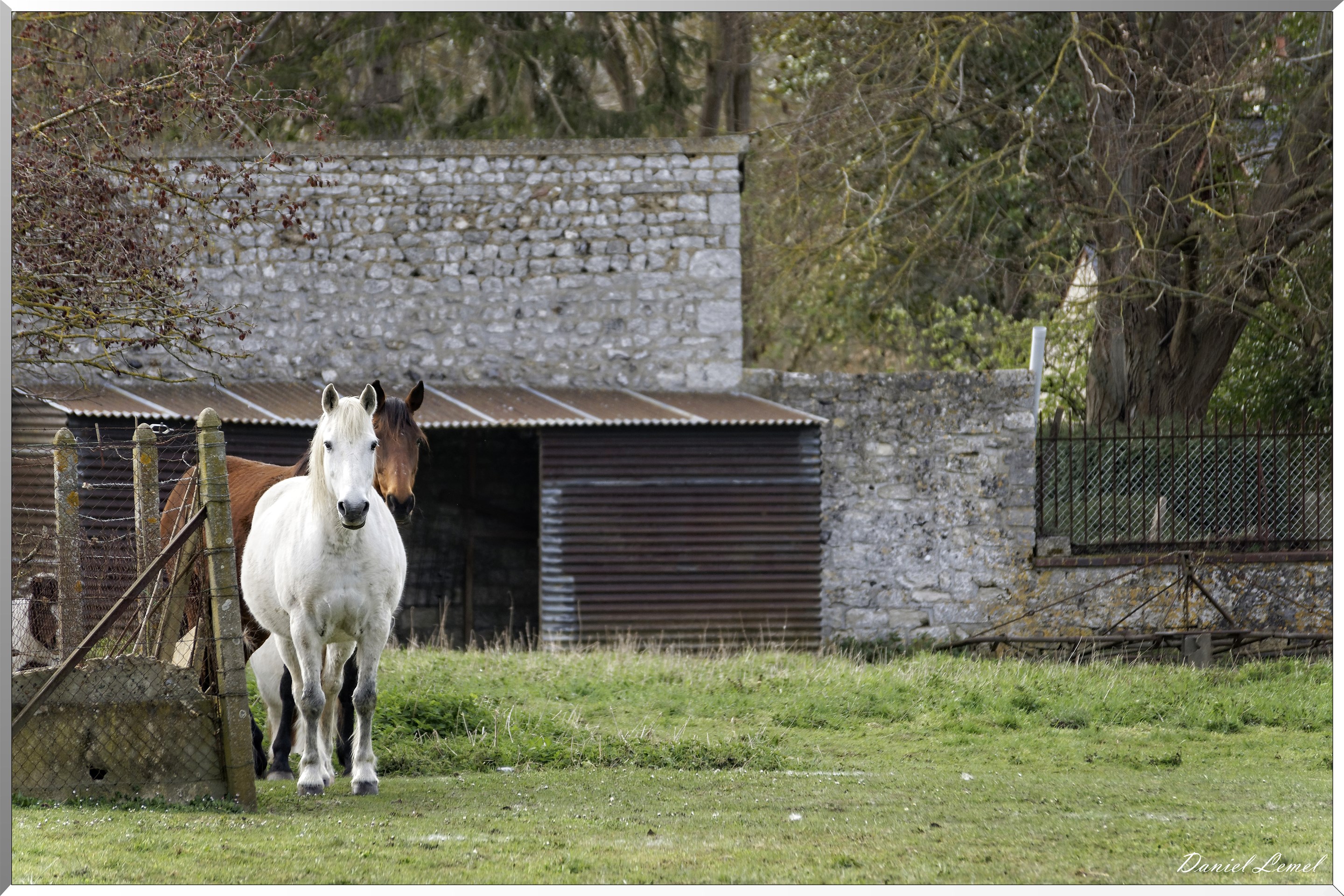 Pressagny l'Orgueilleux