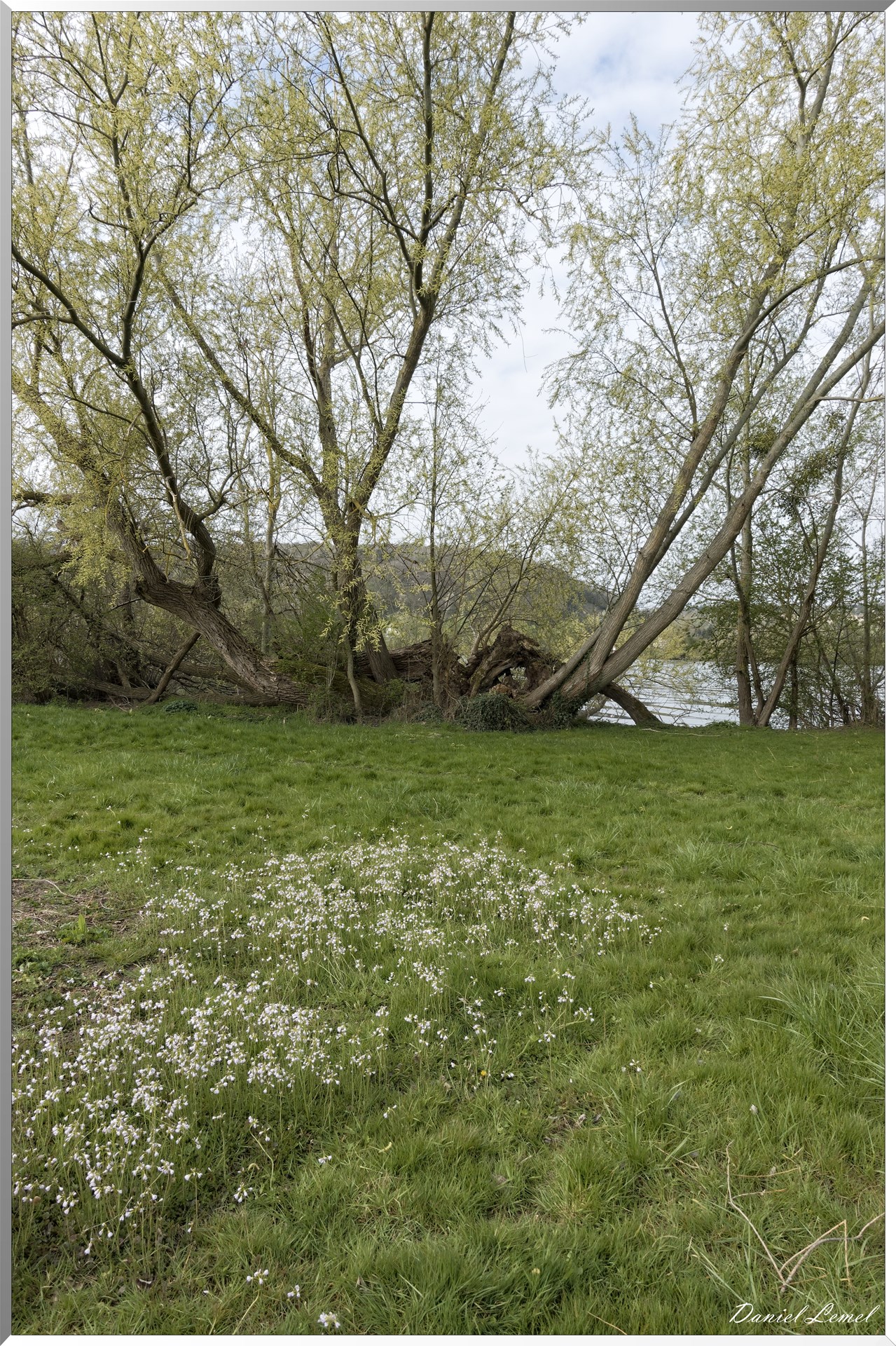 Pressagny l'Orgueilleux