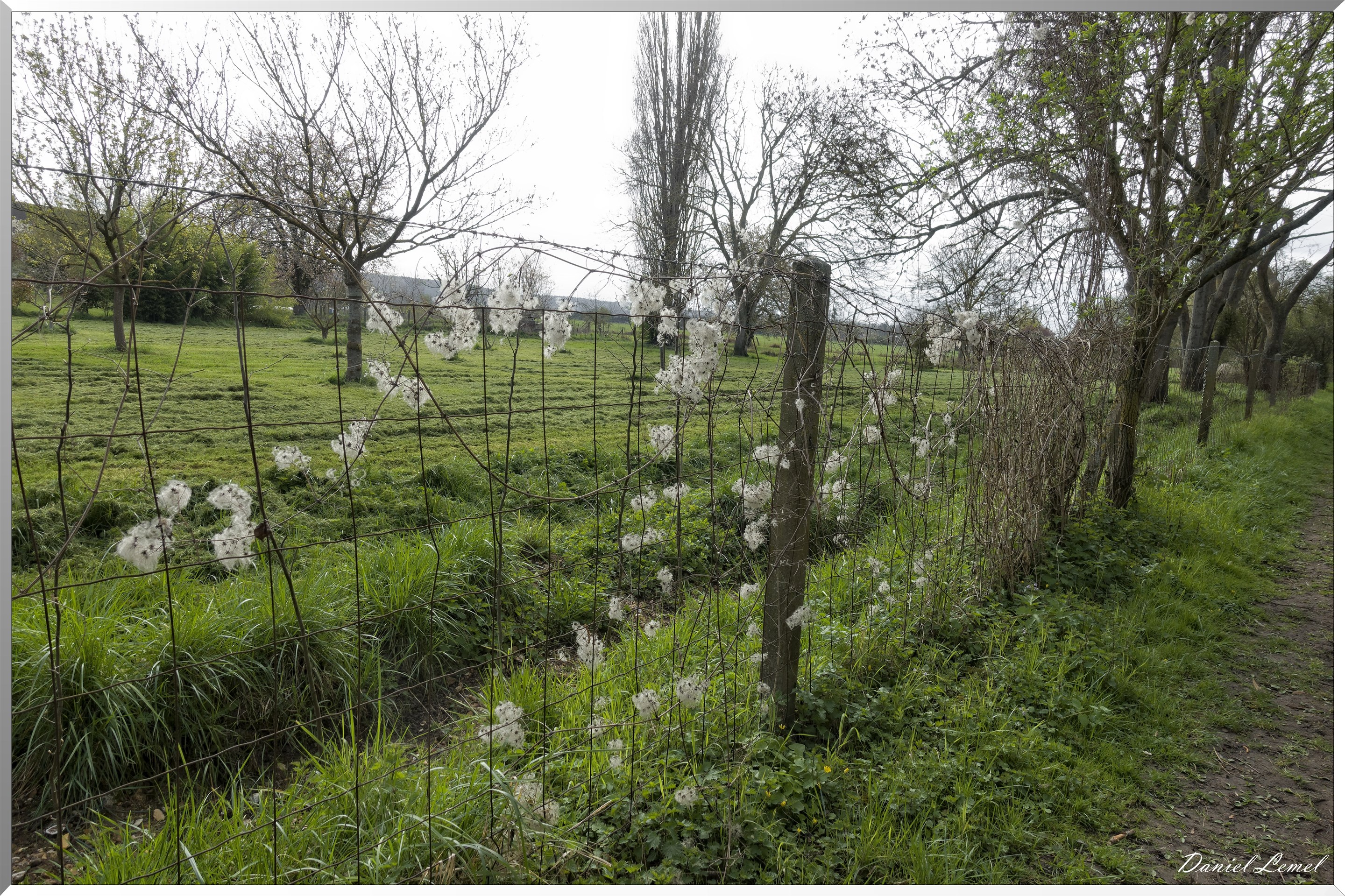 Pressagny l'Orgueilleux