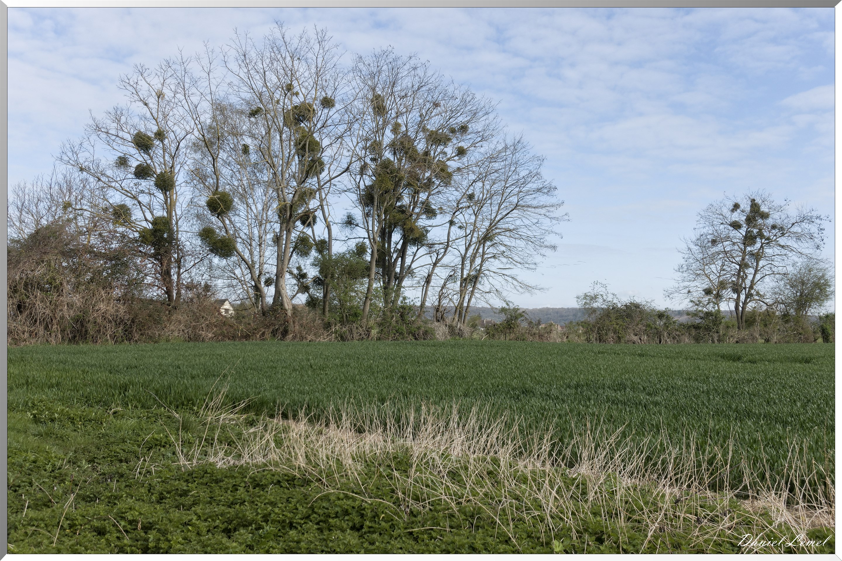 Pressagny l'Orgueilleux