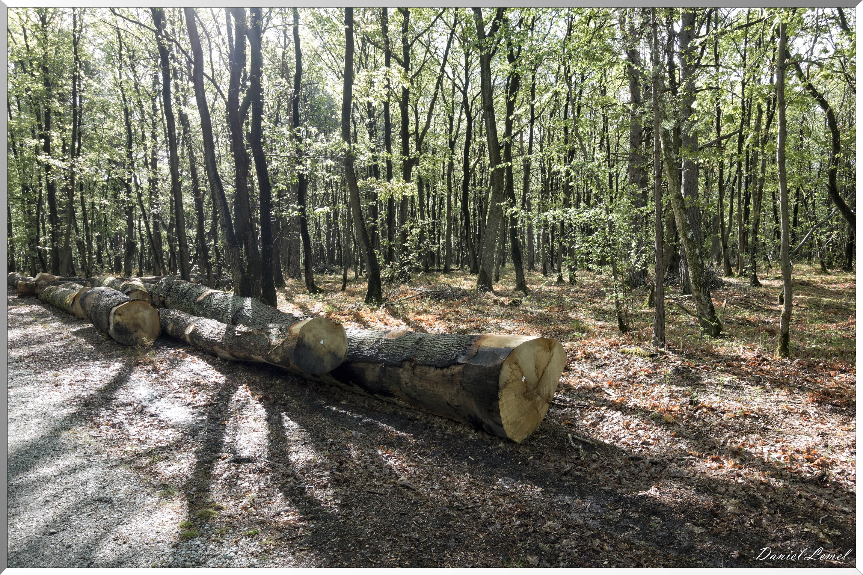 Saint-Aubin-sur-Gaillon