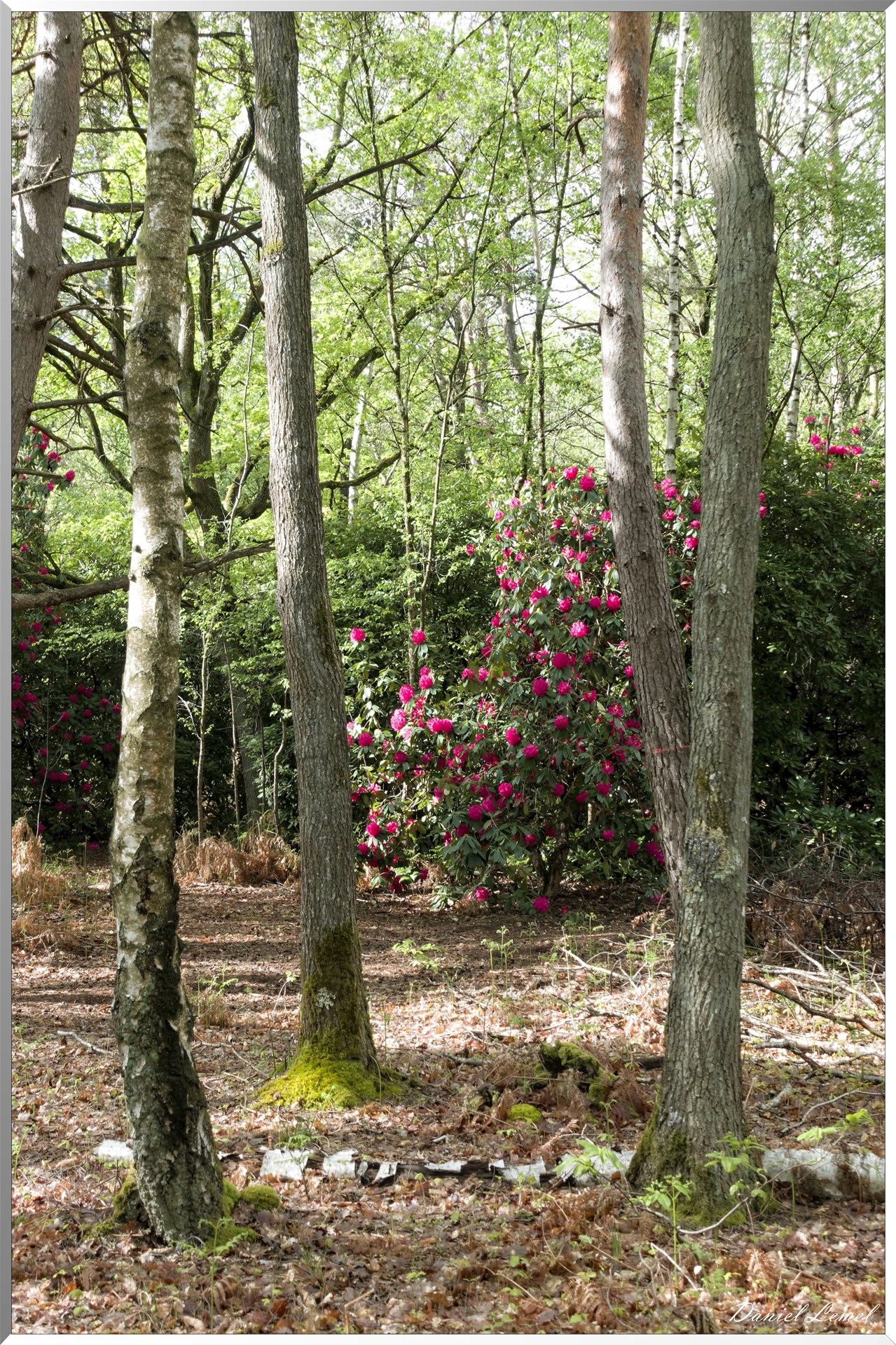 Saint-Aubin-sur-Gaillon