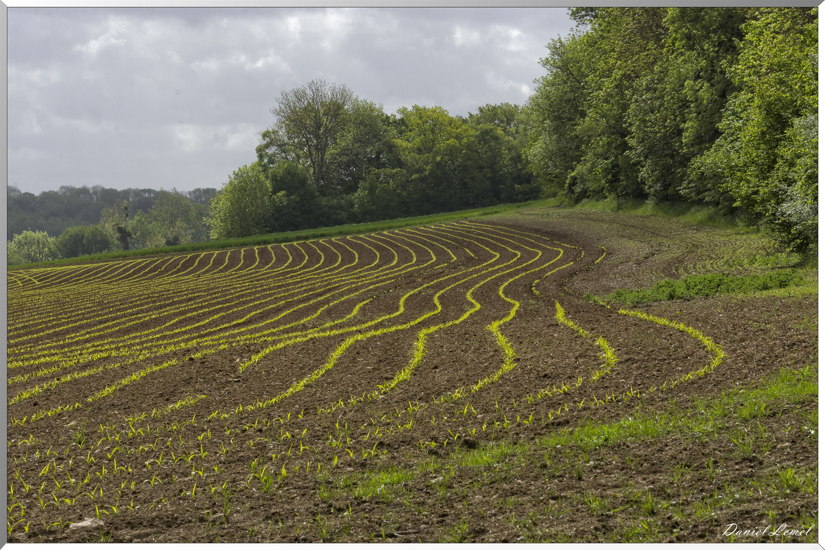 Ambleville-Omerville-Magnitot