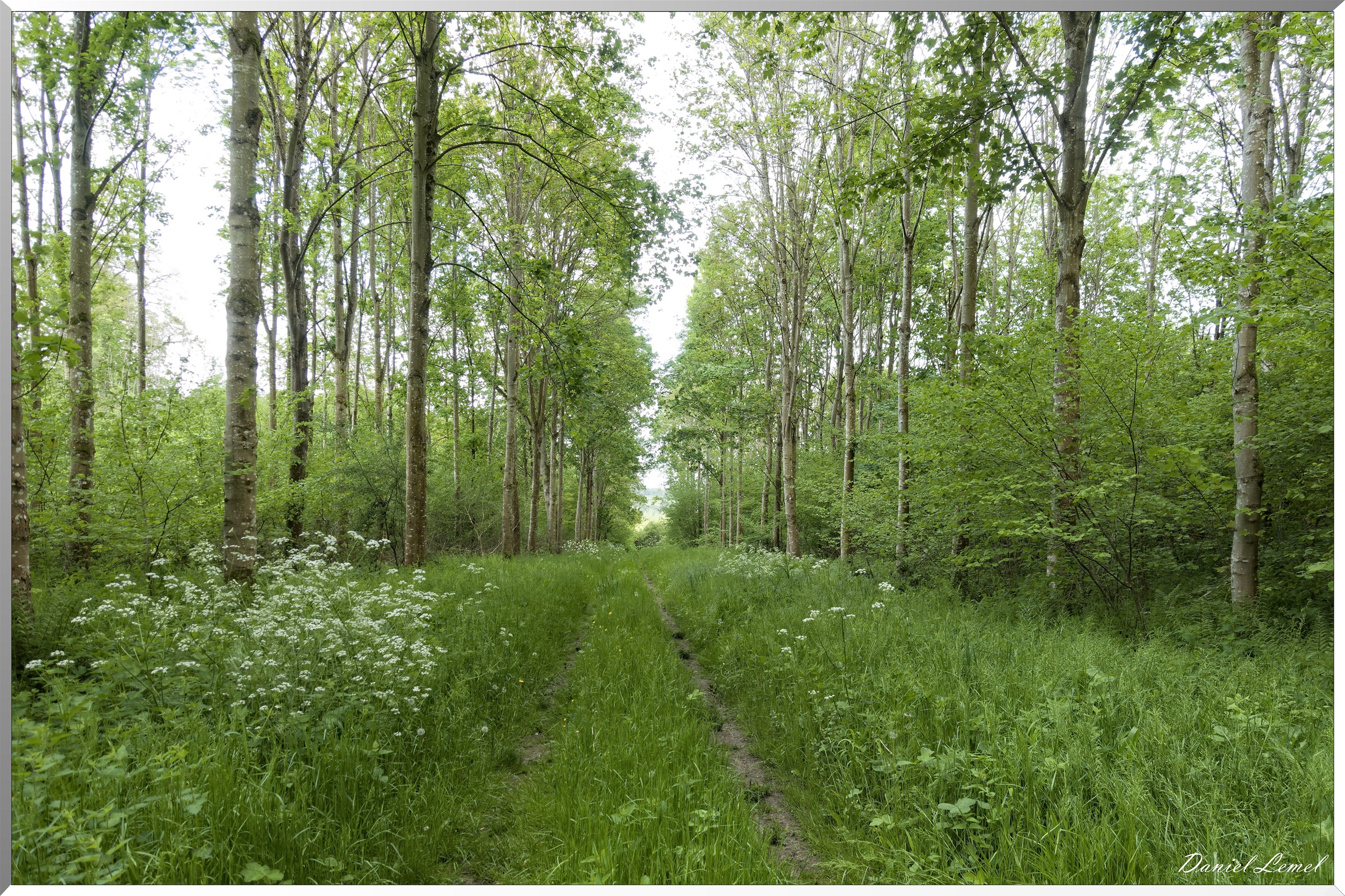 Ambleville-Omerville-Magnitot