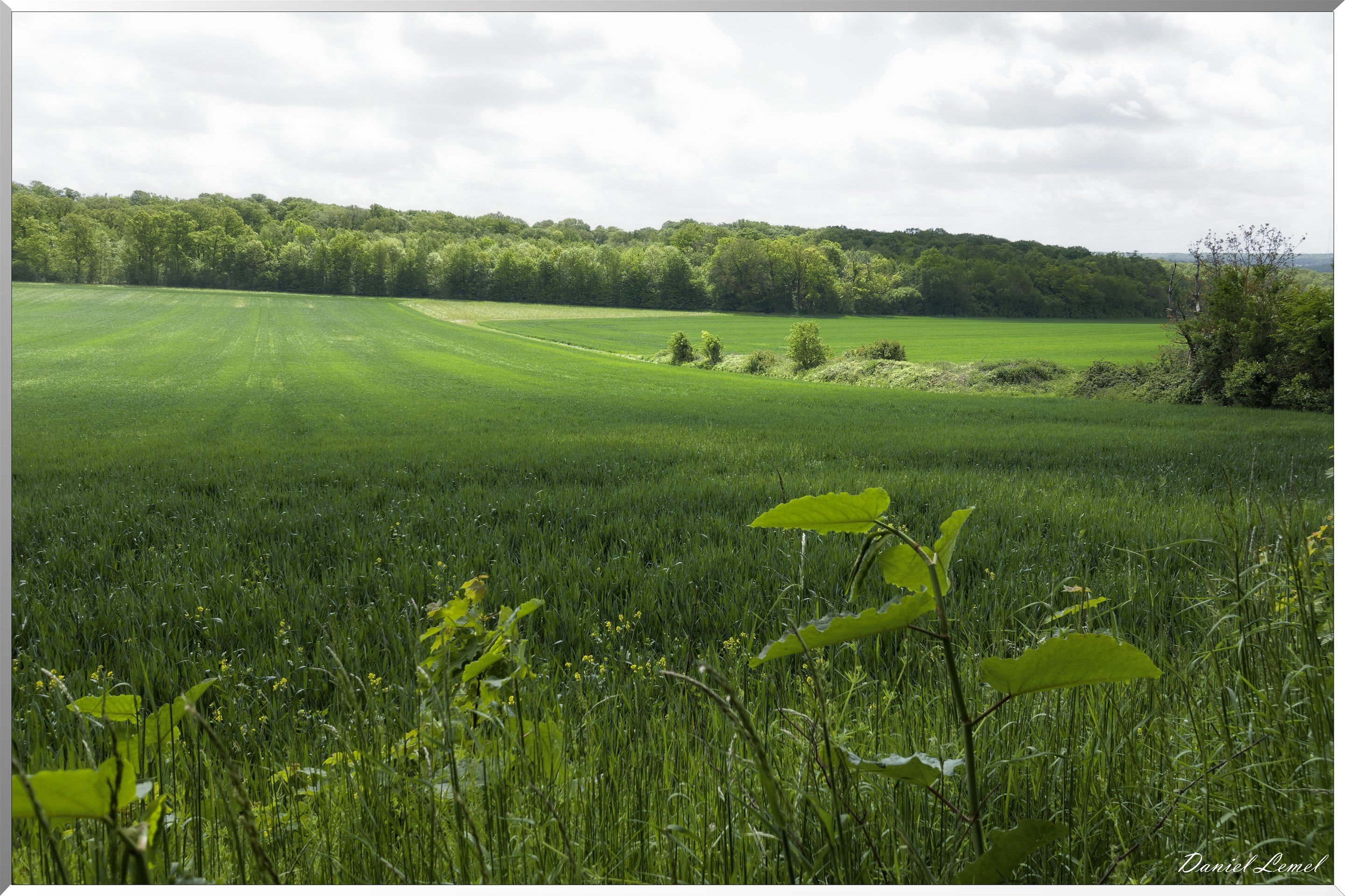 Ambleville-Omerville-Magnitot
