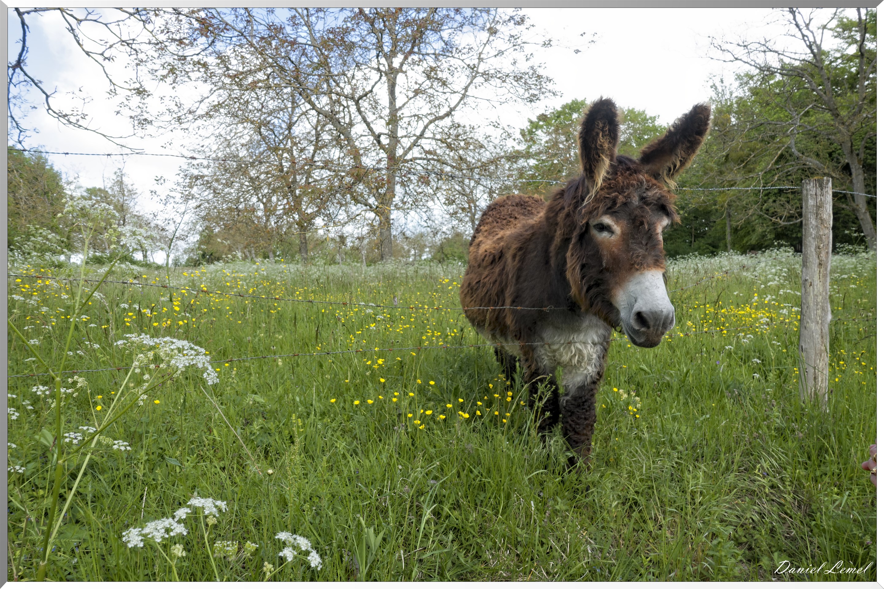 Ambleville-Omerville-Magnitot