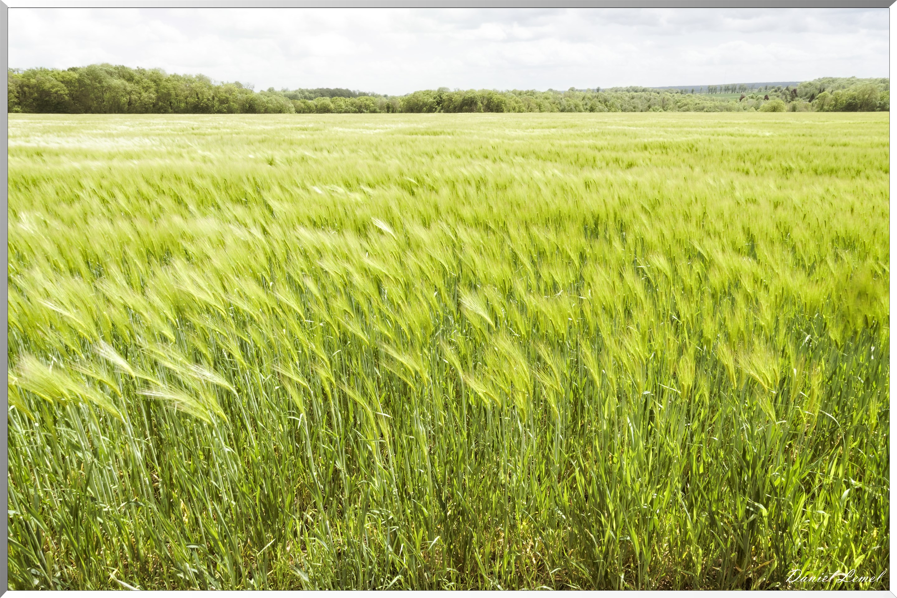 Ambleville-Omerville-Magnitot