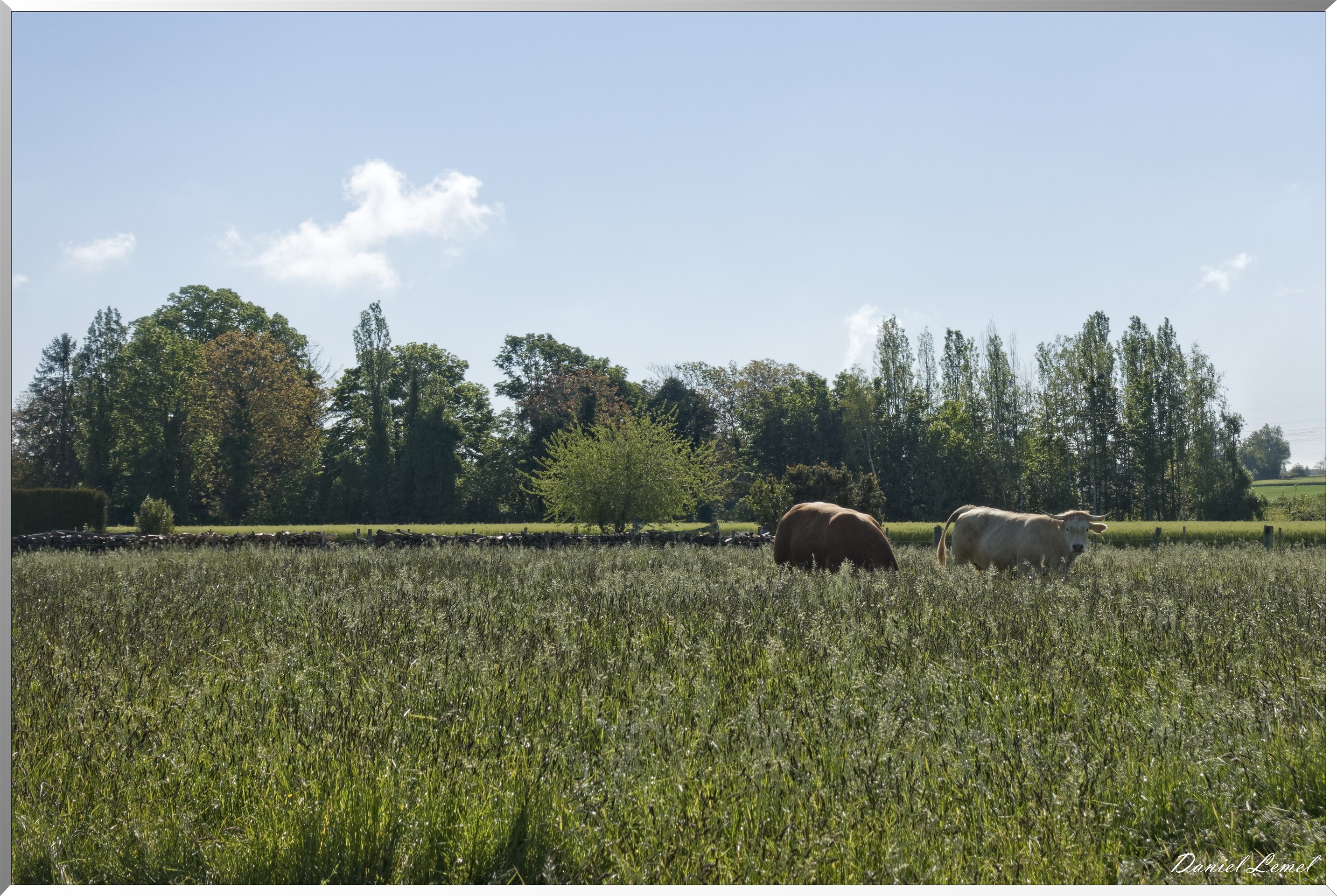 La-Villeneuve-en-Chevrie