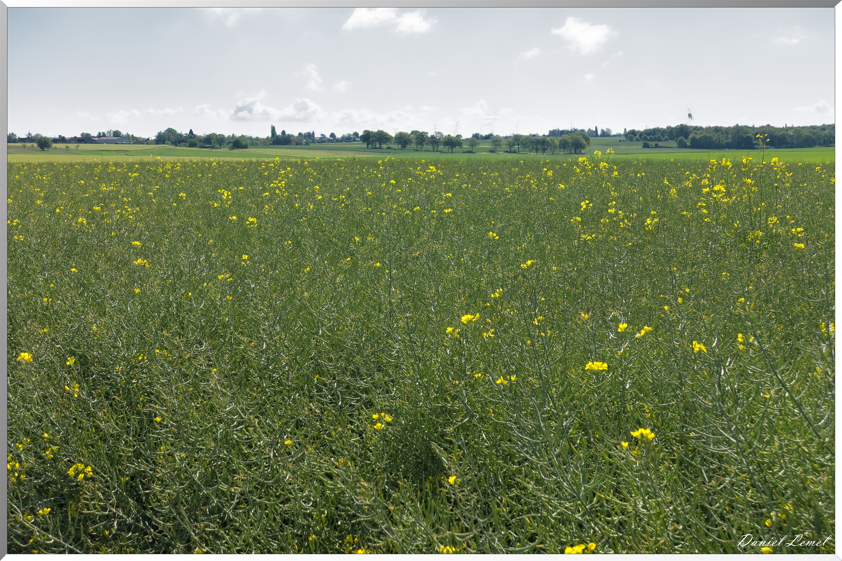 La-Villeneuve-en-Chevrie