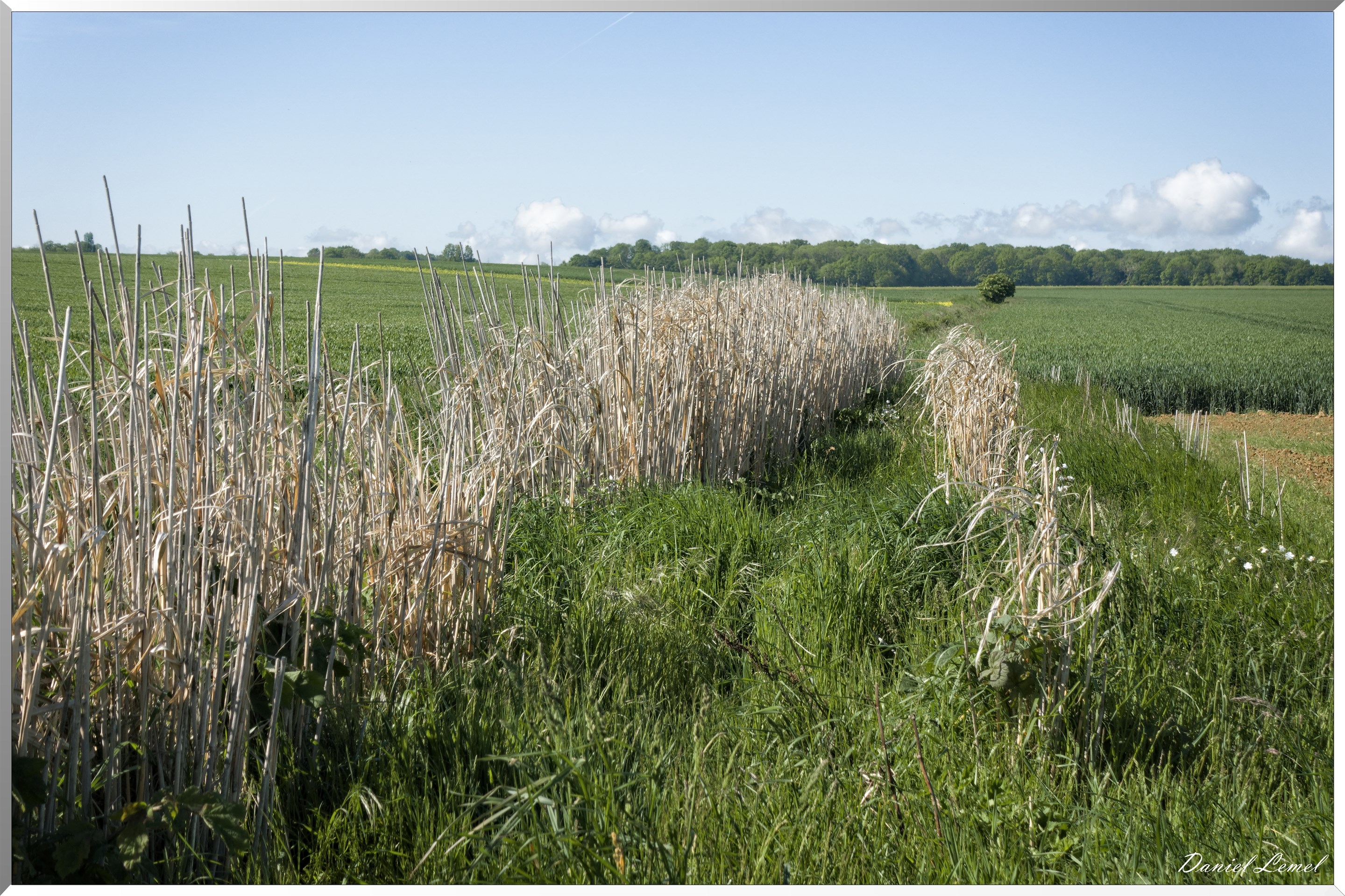 La-Villeneuve-en-Chevrie