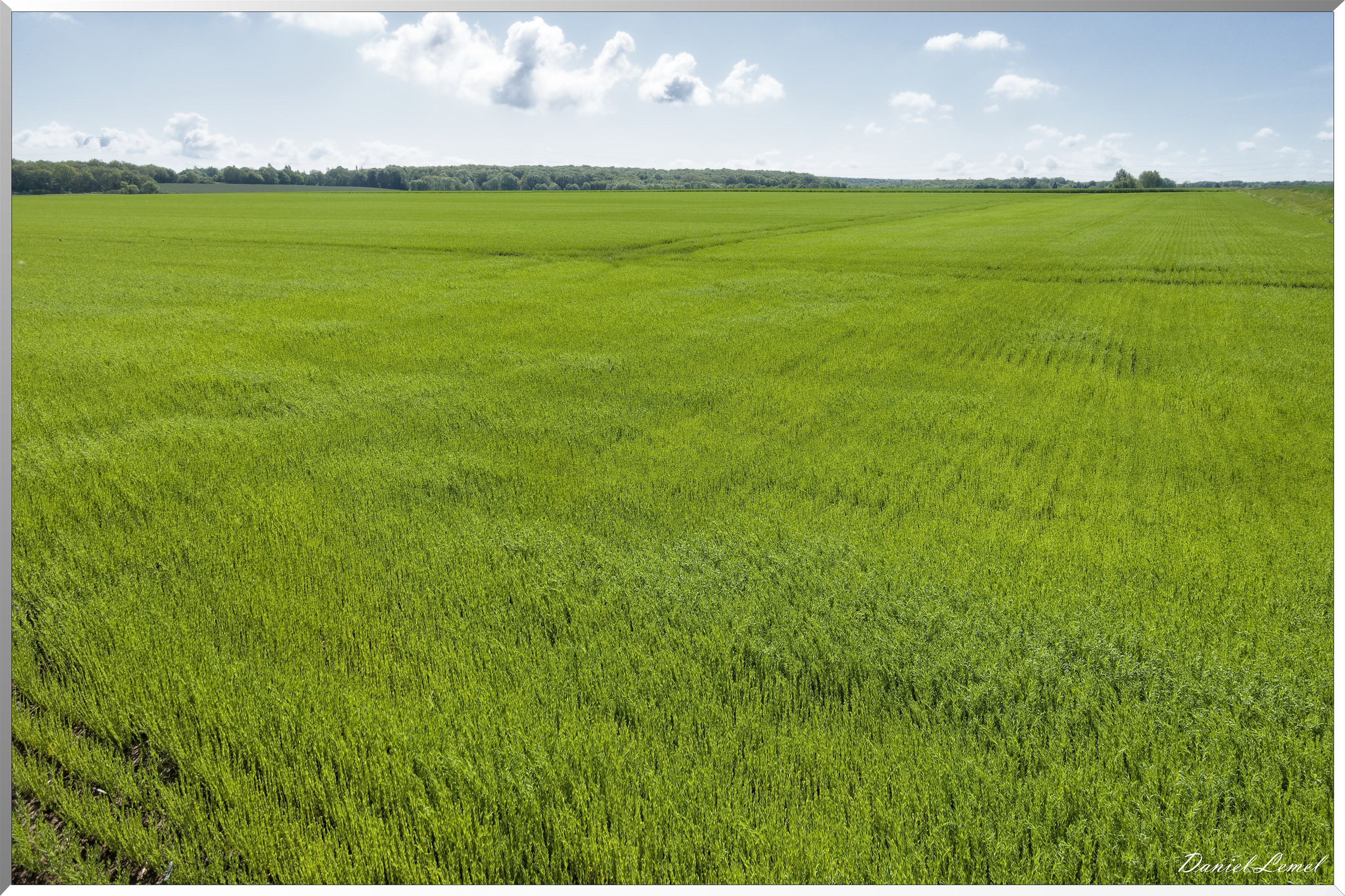 La-Villeneuve-en-Chevrie