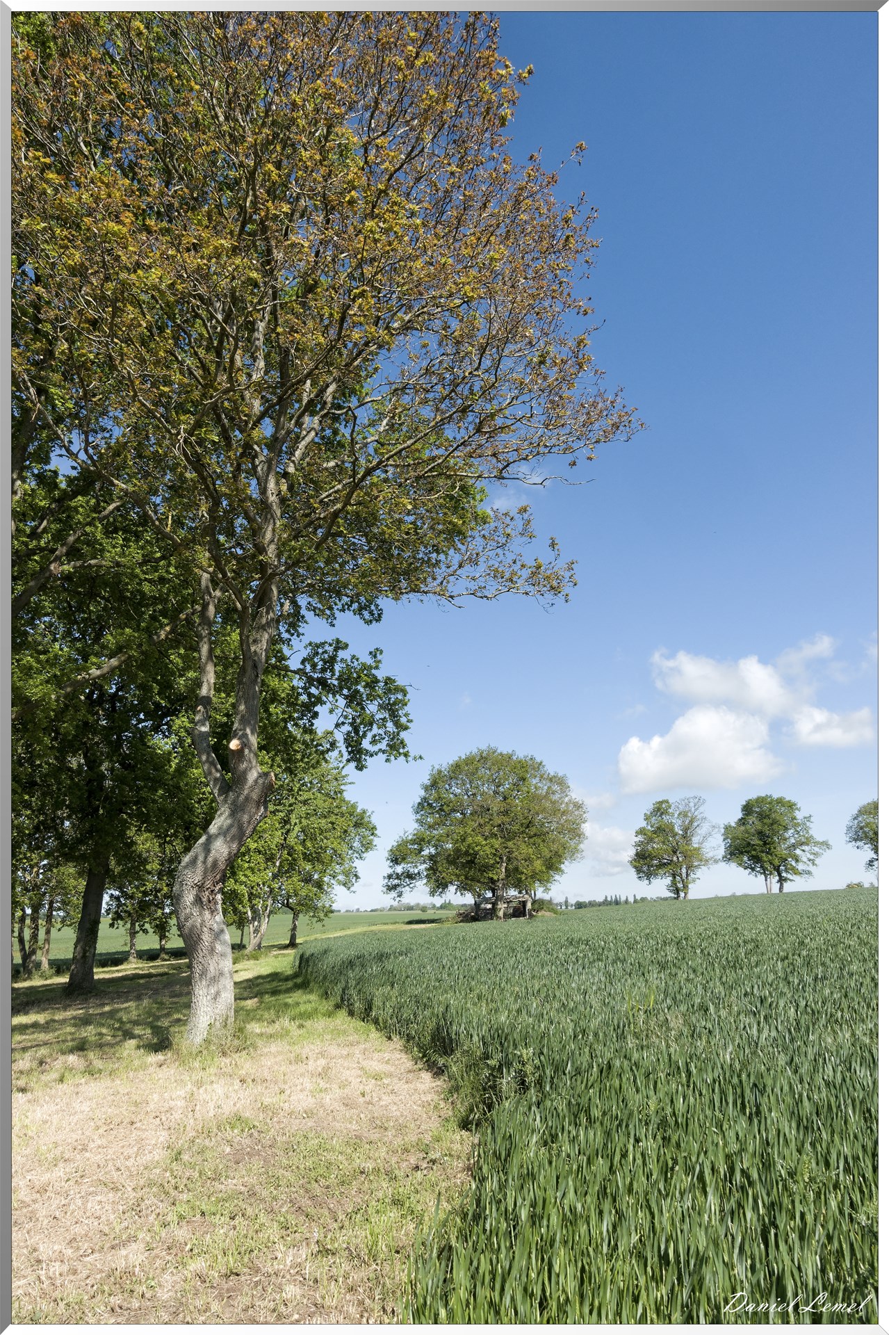 La-Villeneuve-en-Chevrie