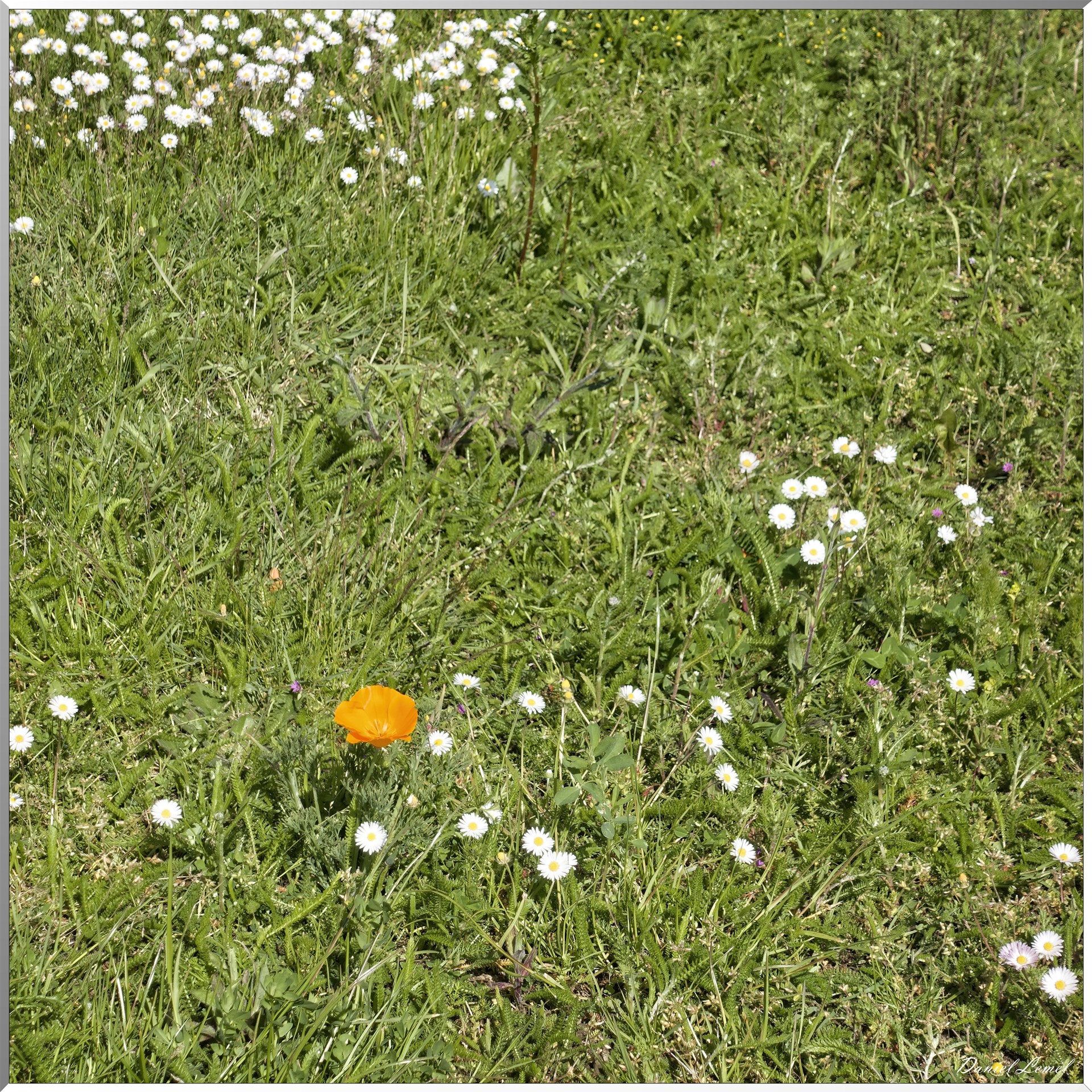 La-Villeneuve-en-Chevrie