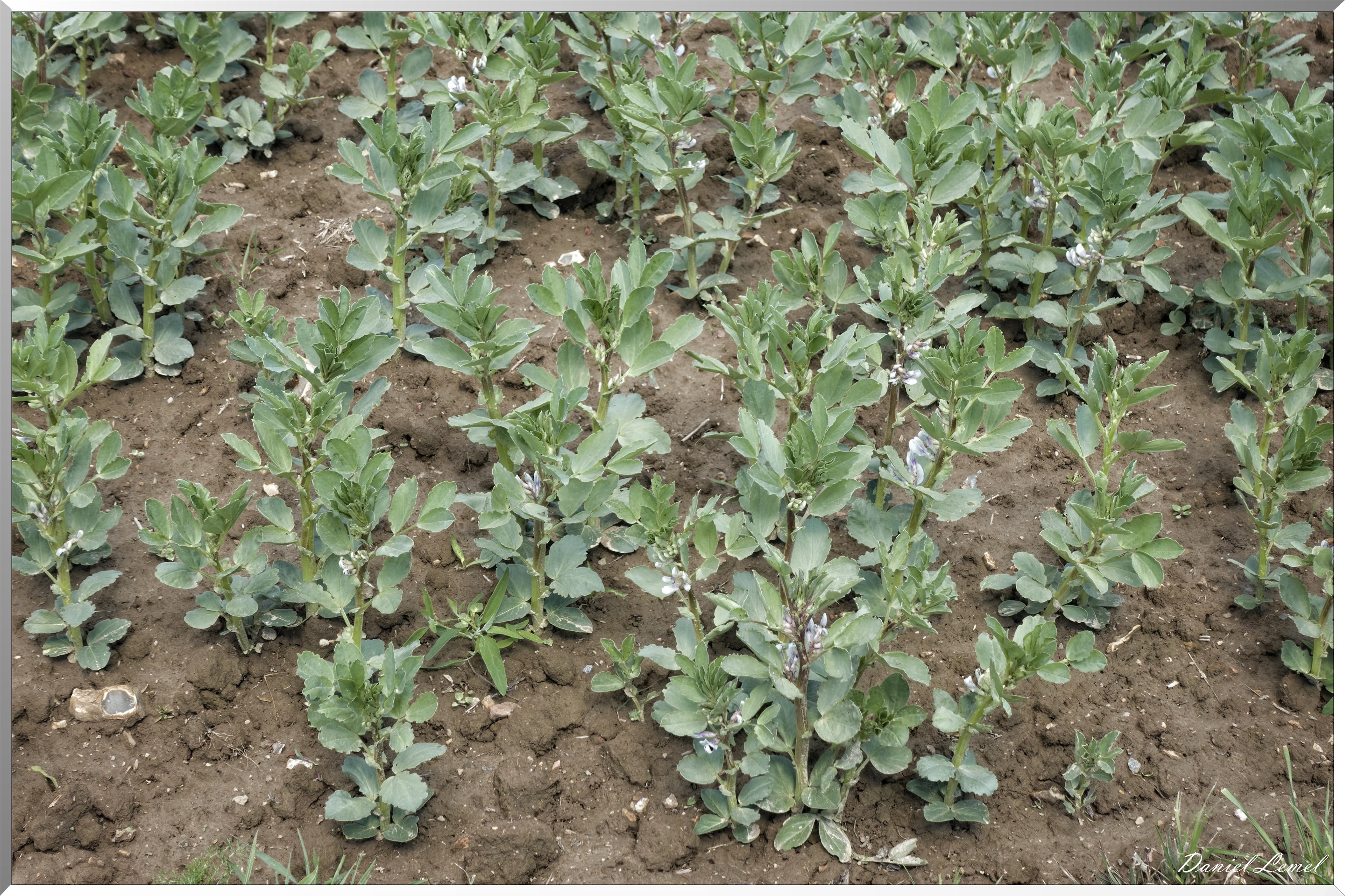 La-Villeneuve-en-Chevrie