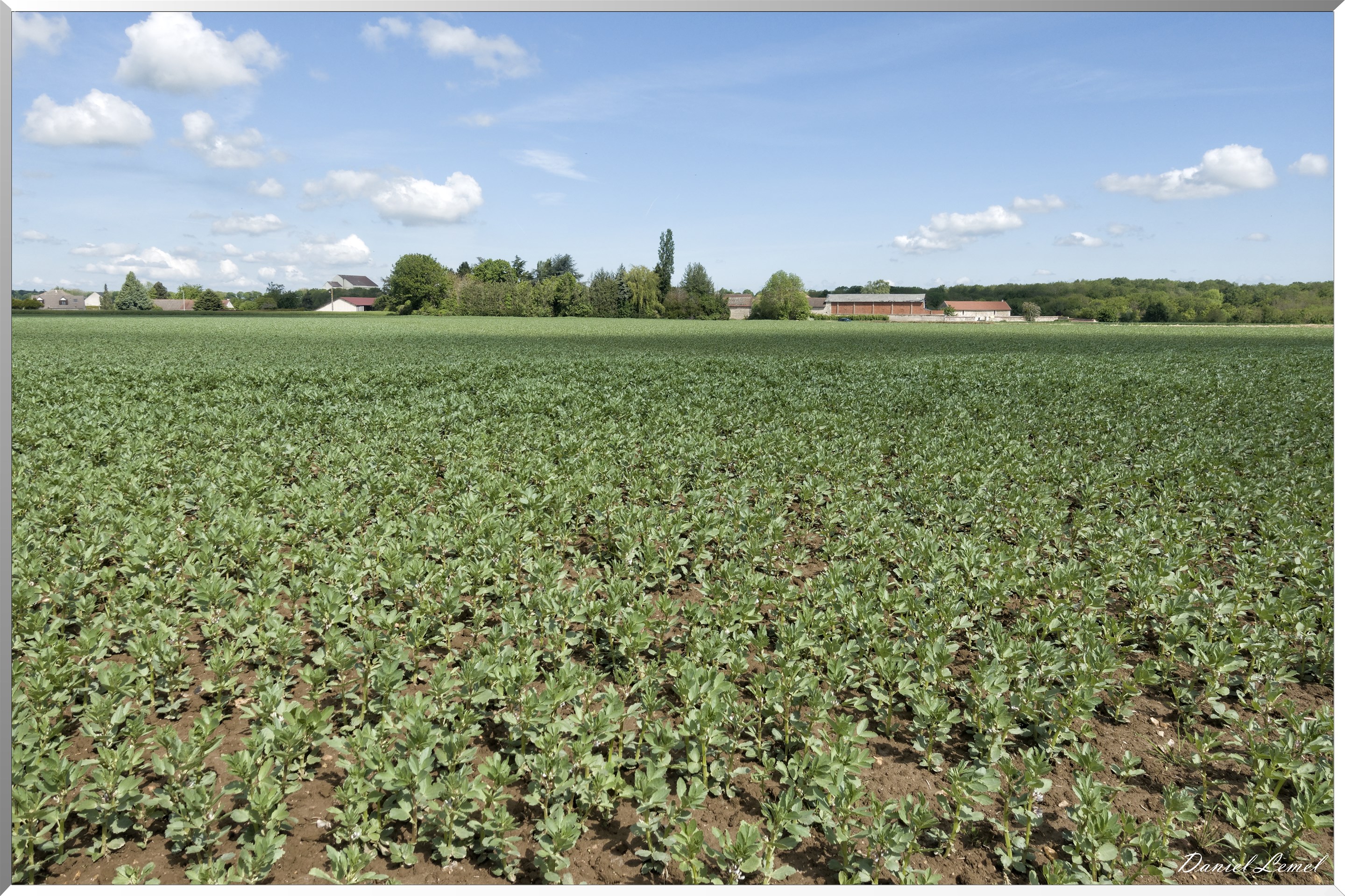 La-Villeneuve-en-Chevrie