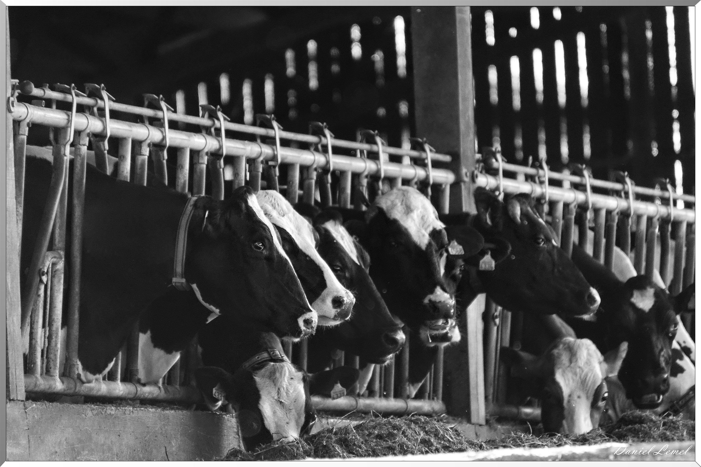 Notre-Dame-de-la-Mer