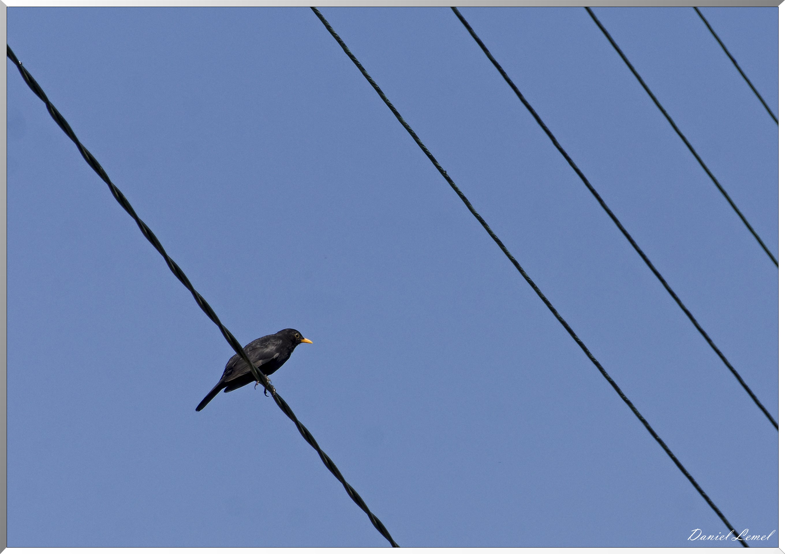 Notre-Dame-de-la-Mer