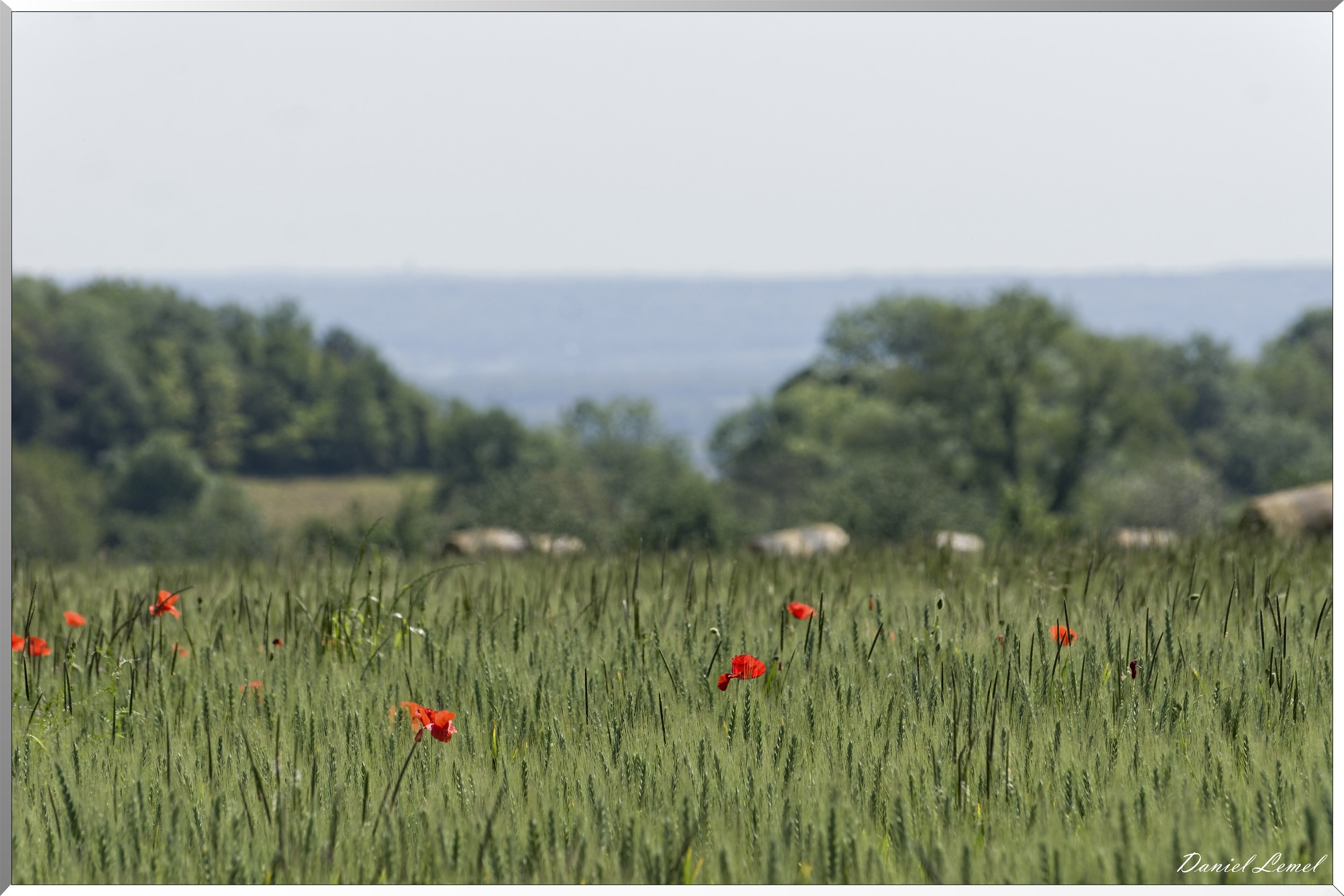 Notre-Dame-de-la-Mer