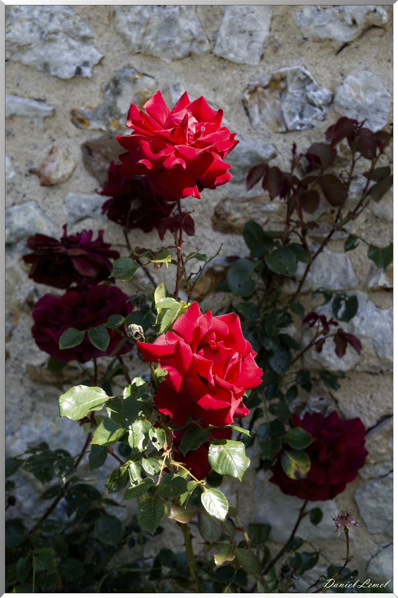 Notre-Dame-de-la-Mer