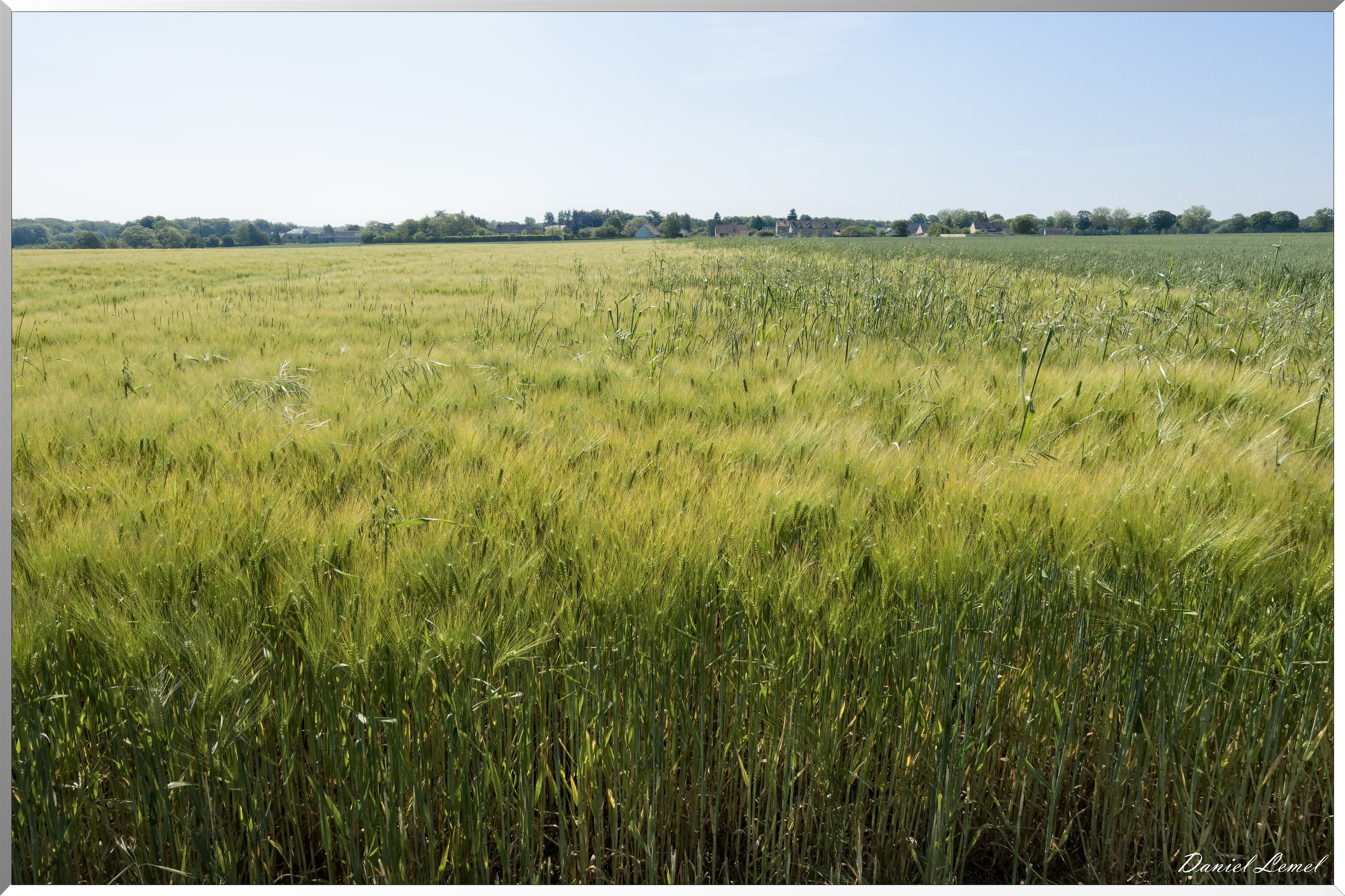 Notre-Dame-de-la-Mer