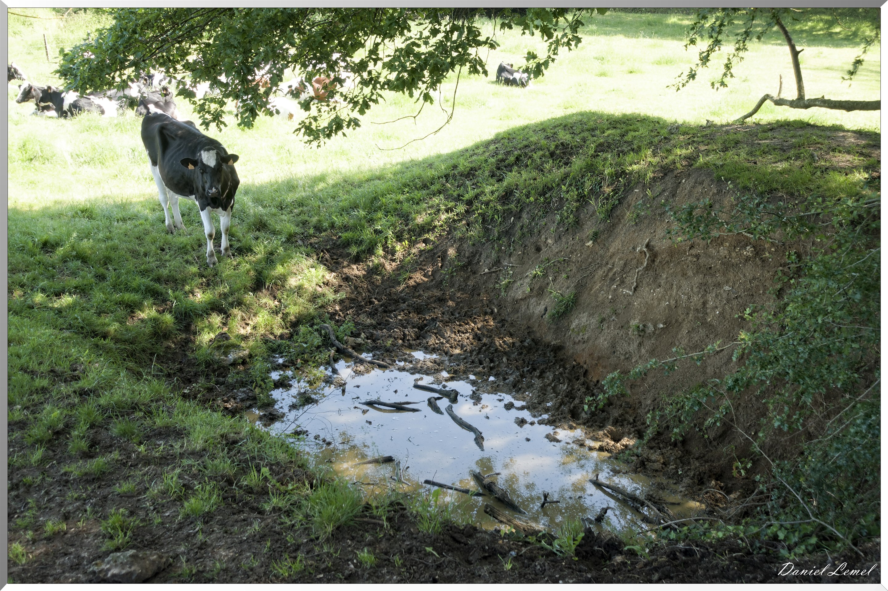Notre-Dame-de-la-Mer