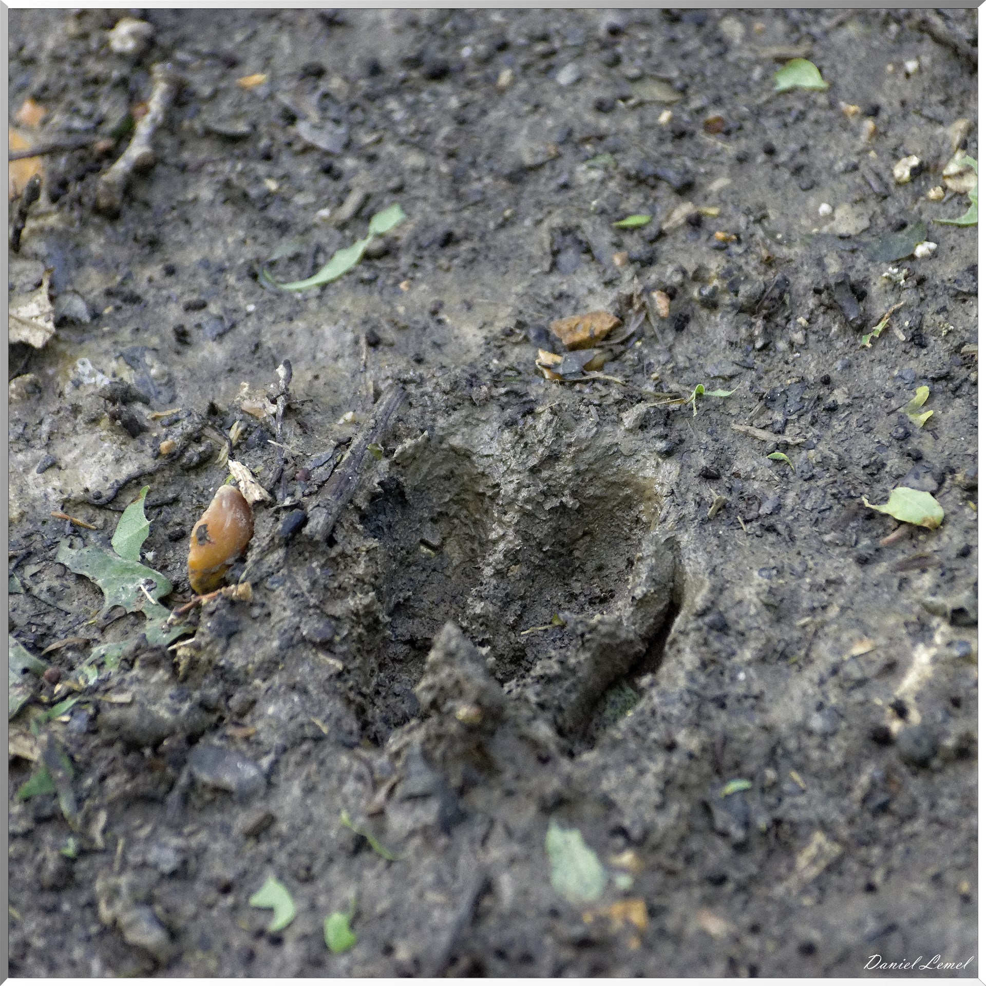 Saint-Denis-le-Ferment