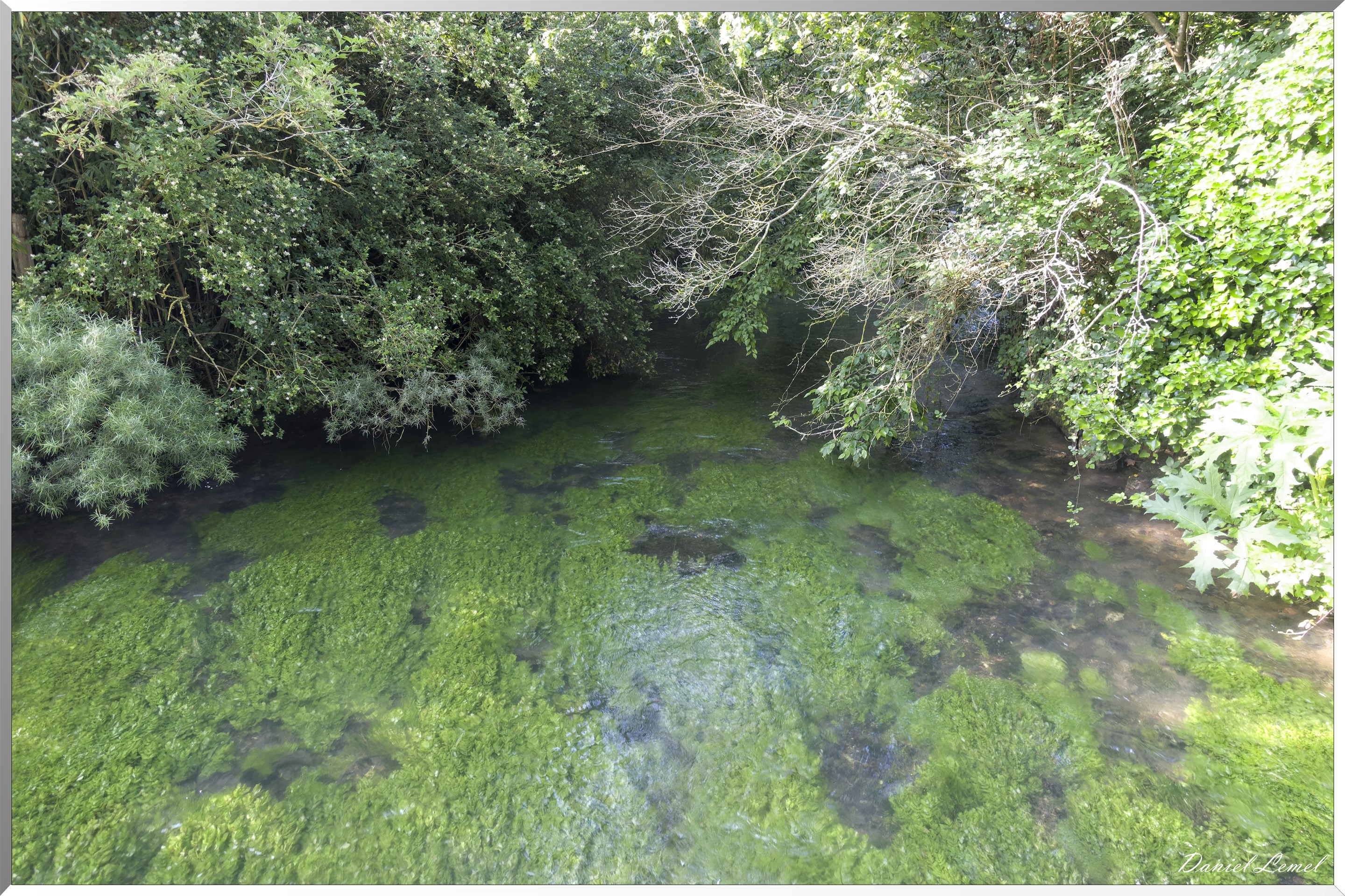 Saint-Denis-le-Ferment