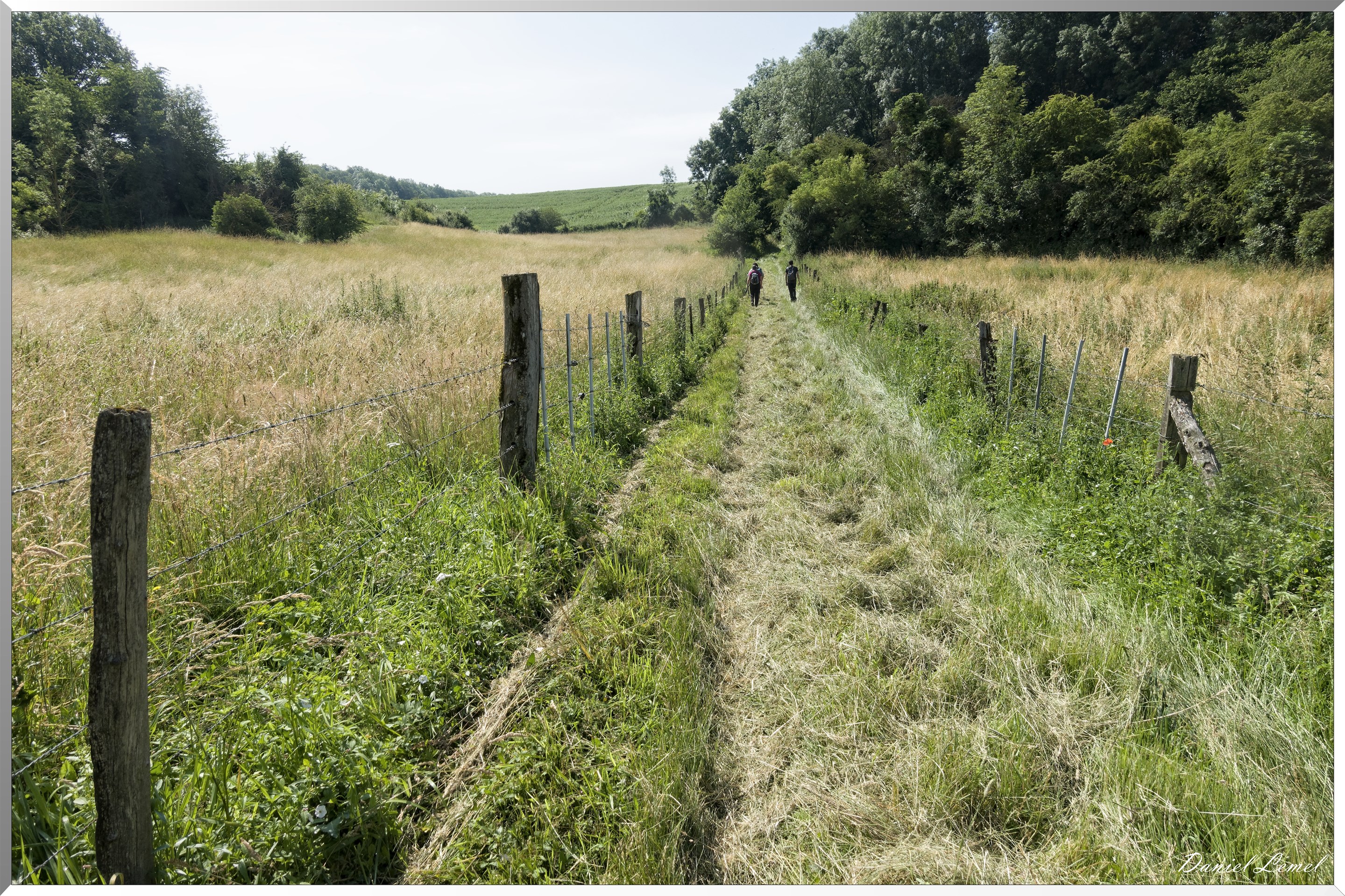 Saint-Denis-le-Ferment