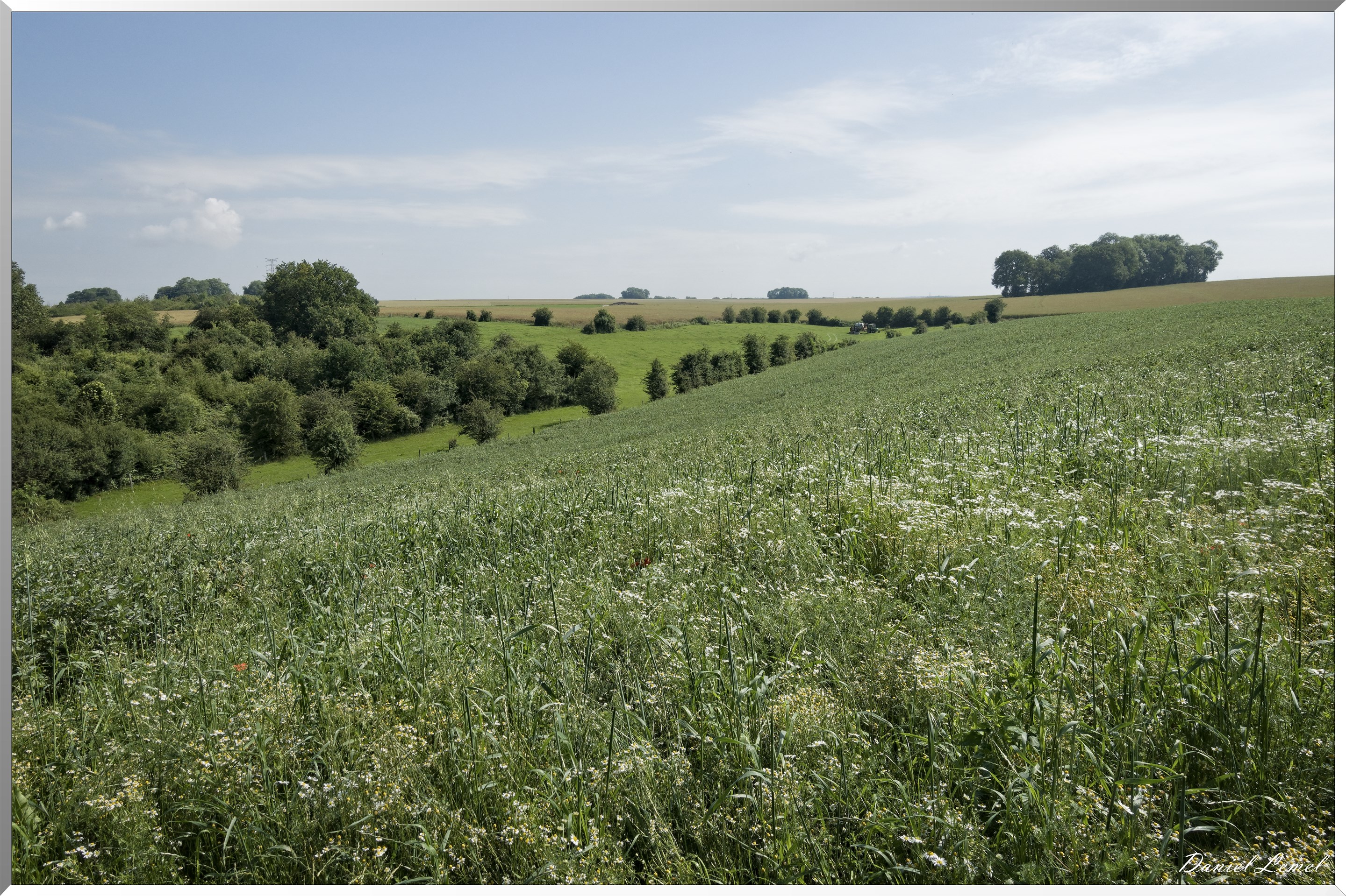 Saint-Denis-le-Ferment