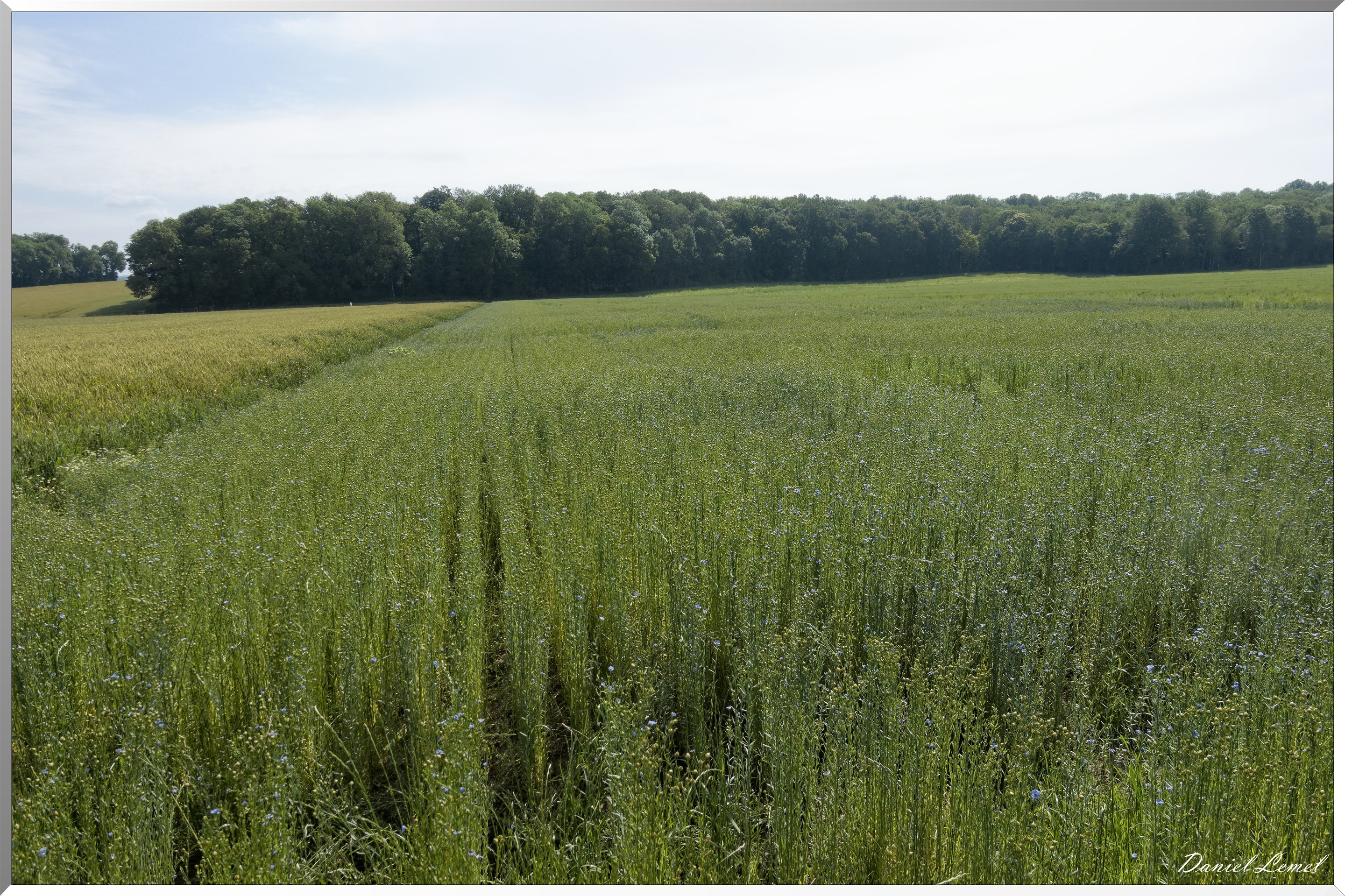 Saint-Denis-le-Ferment
