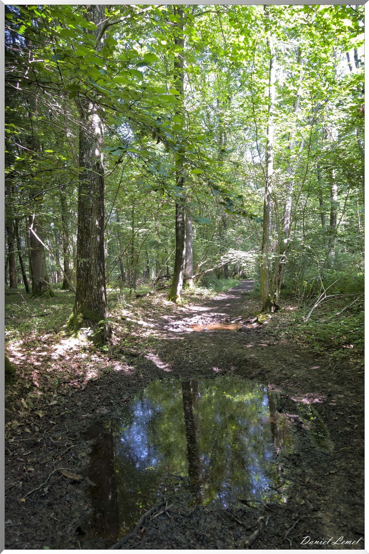 Saint-Denis-le-Ferment