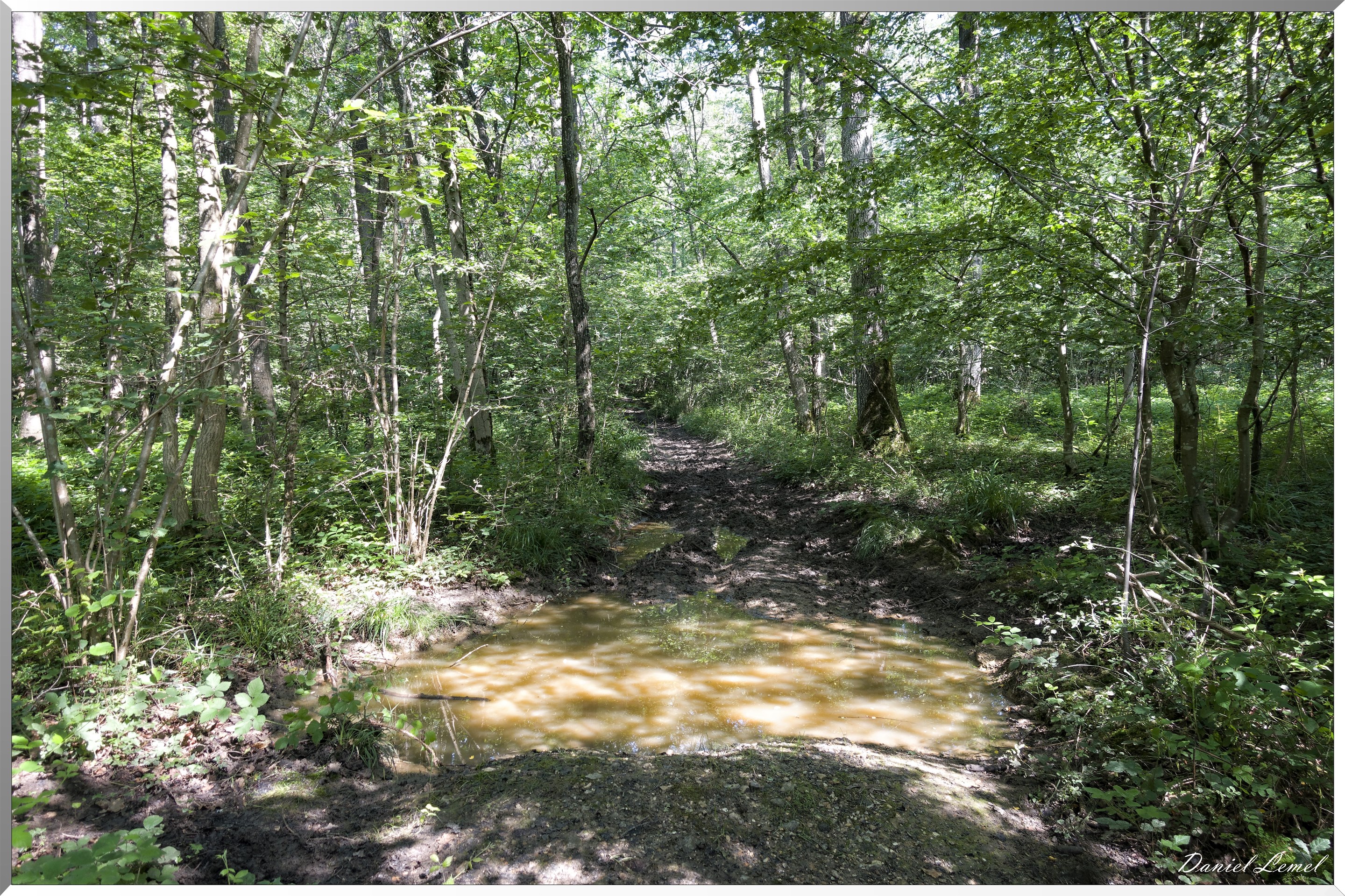 Saint-Denis-le-Ferment