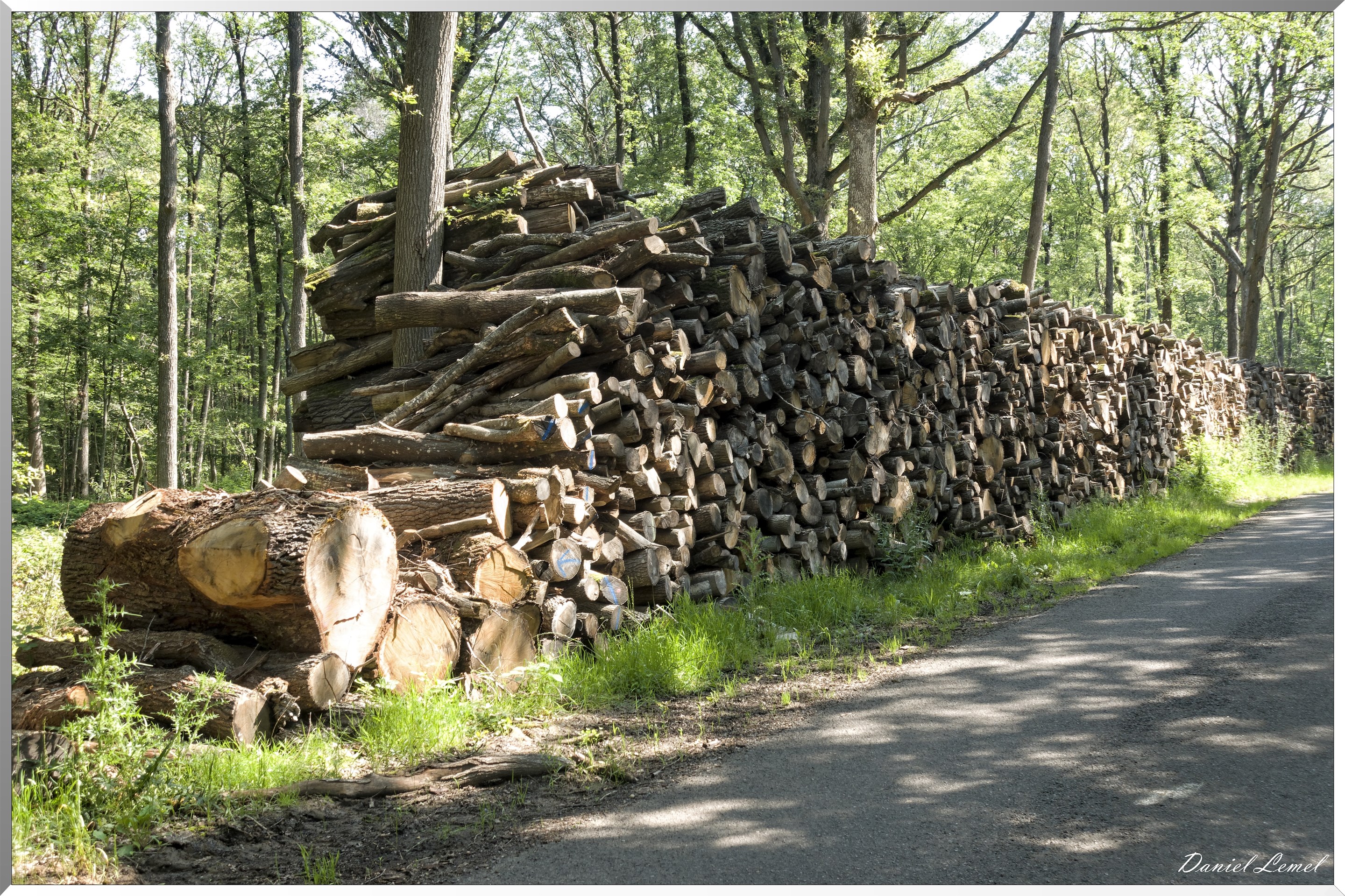 Saint-Denis-le-Ferment