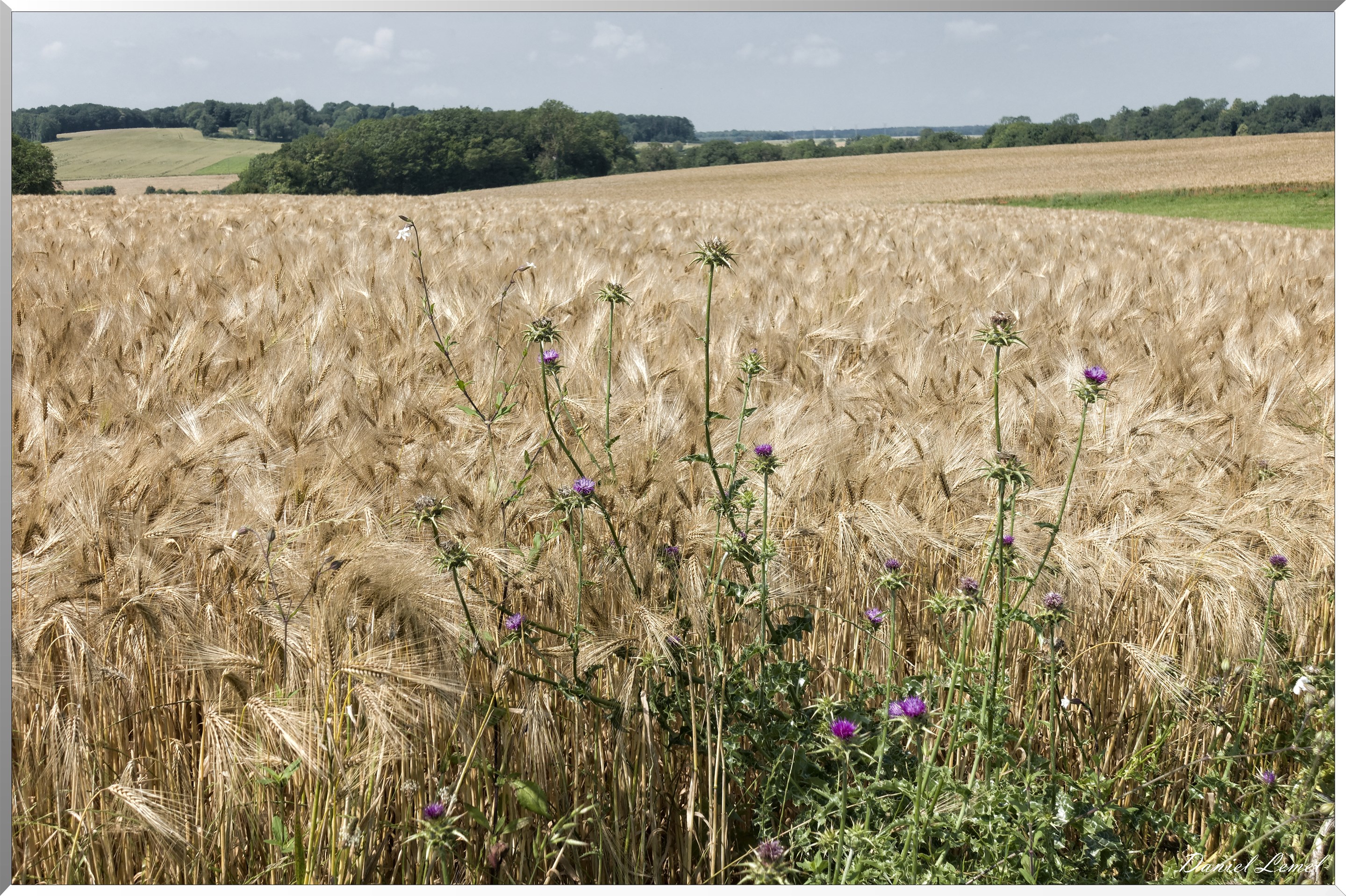 Saint-Denis-le-Ferment