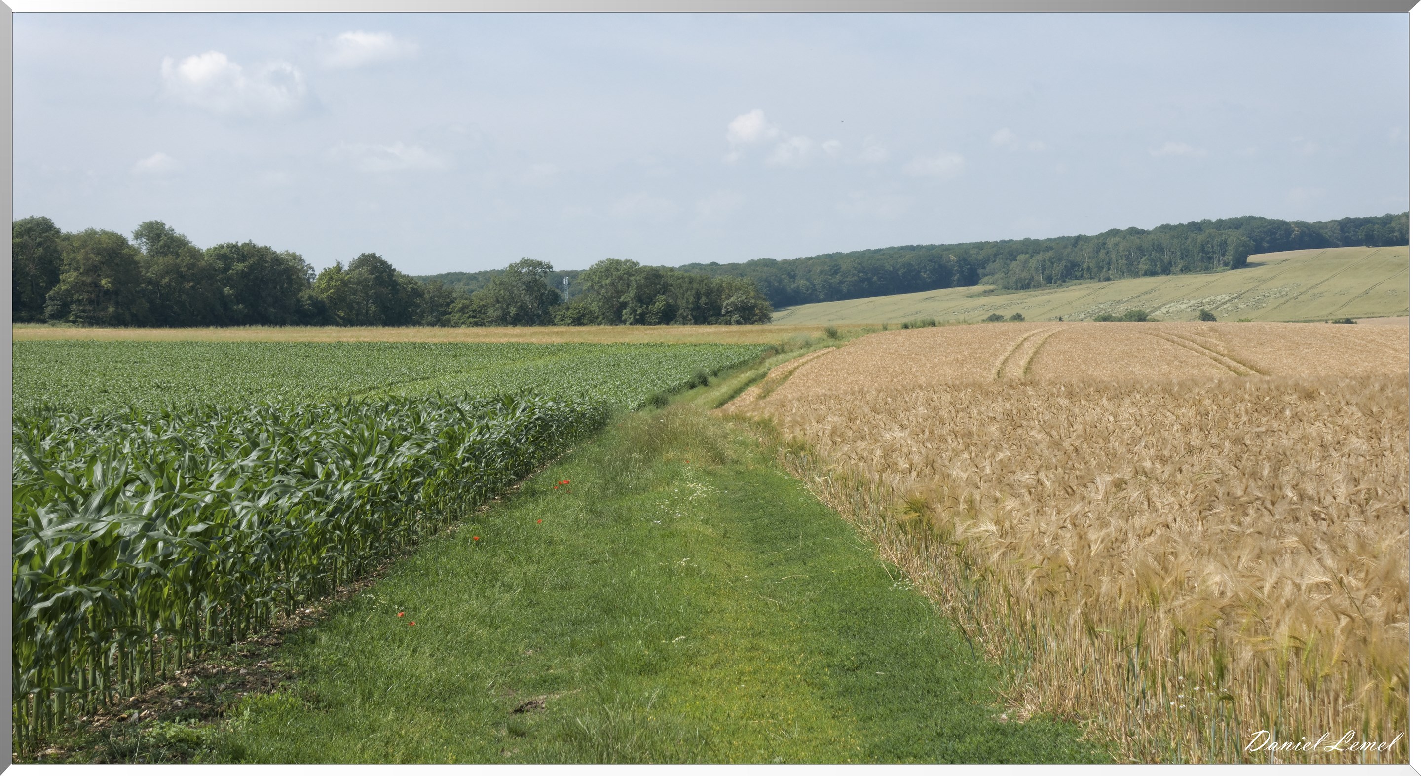 Saint-Denis-le-Ferment