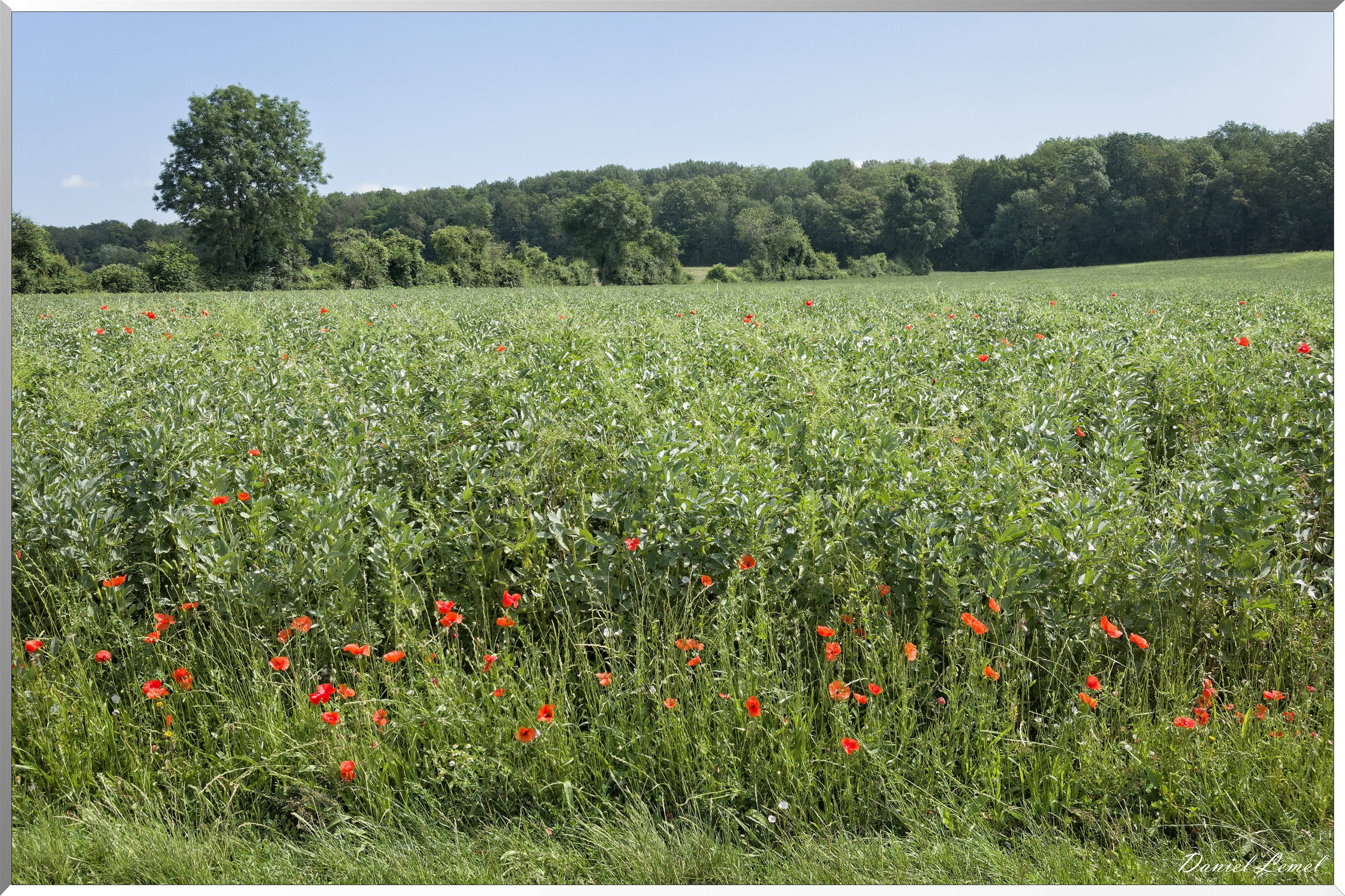 Saint-Denis-le-Ferment