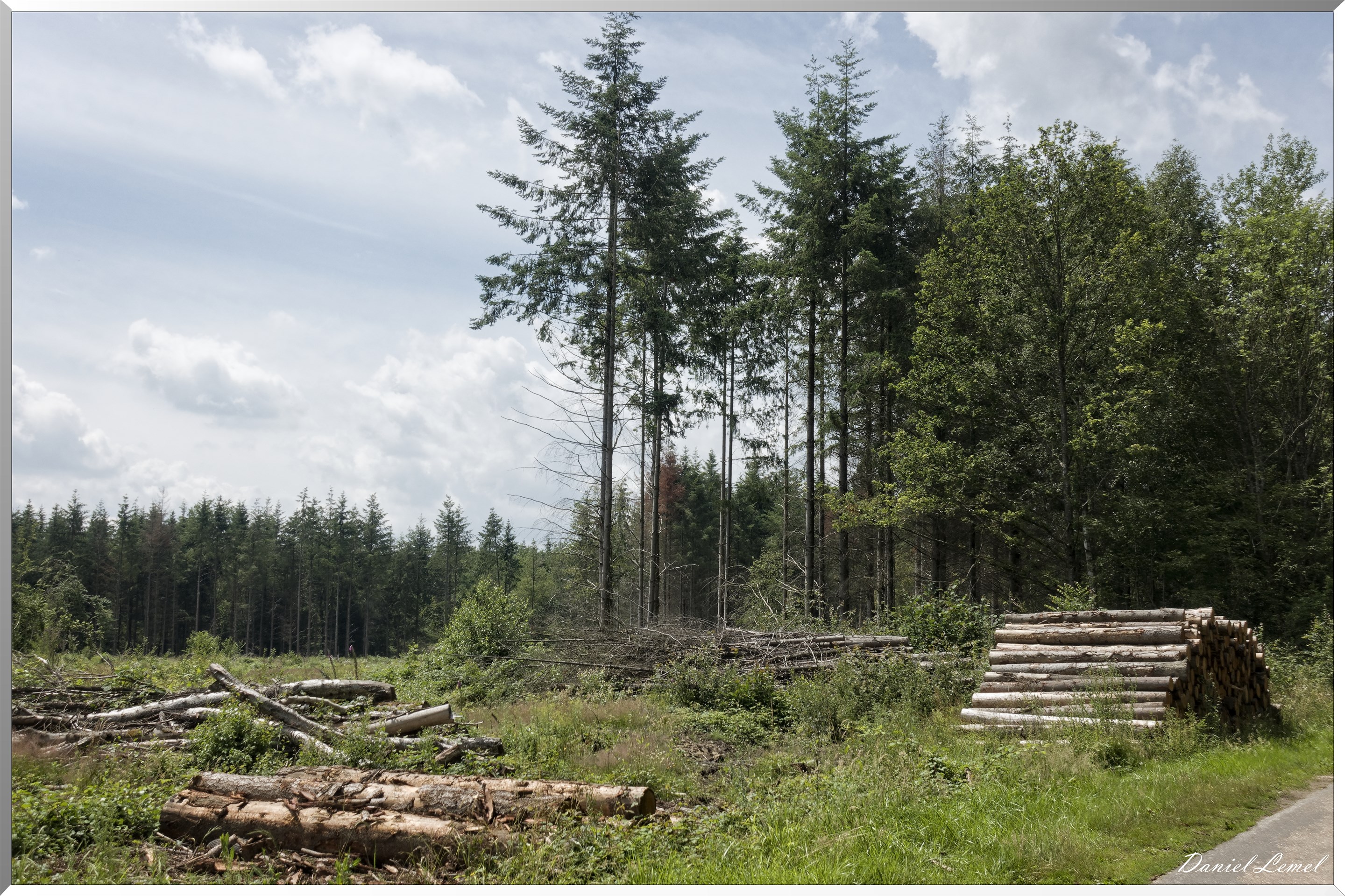 Saint-Denis-le-Ferment