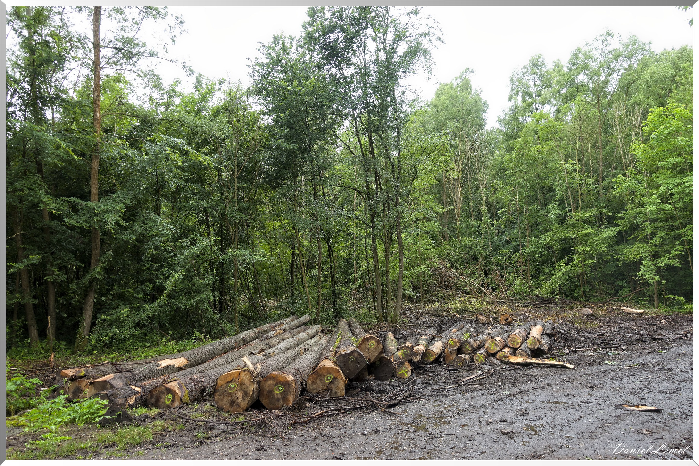 Saint-Geneviève-les-Gasny