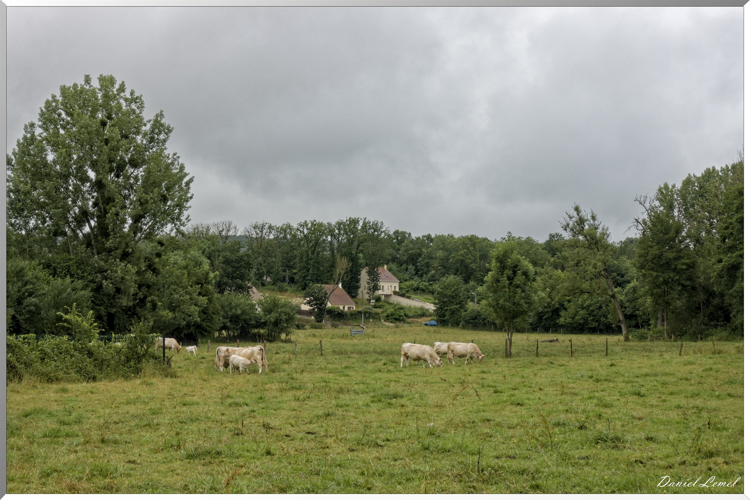 Saint-Geneviève-les-Gasny