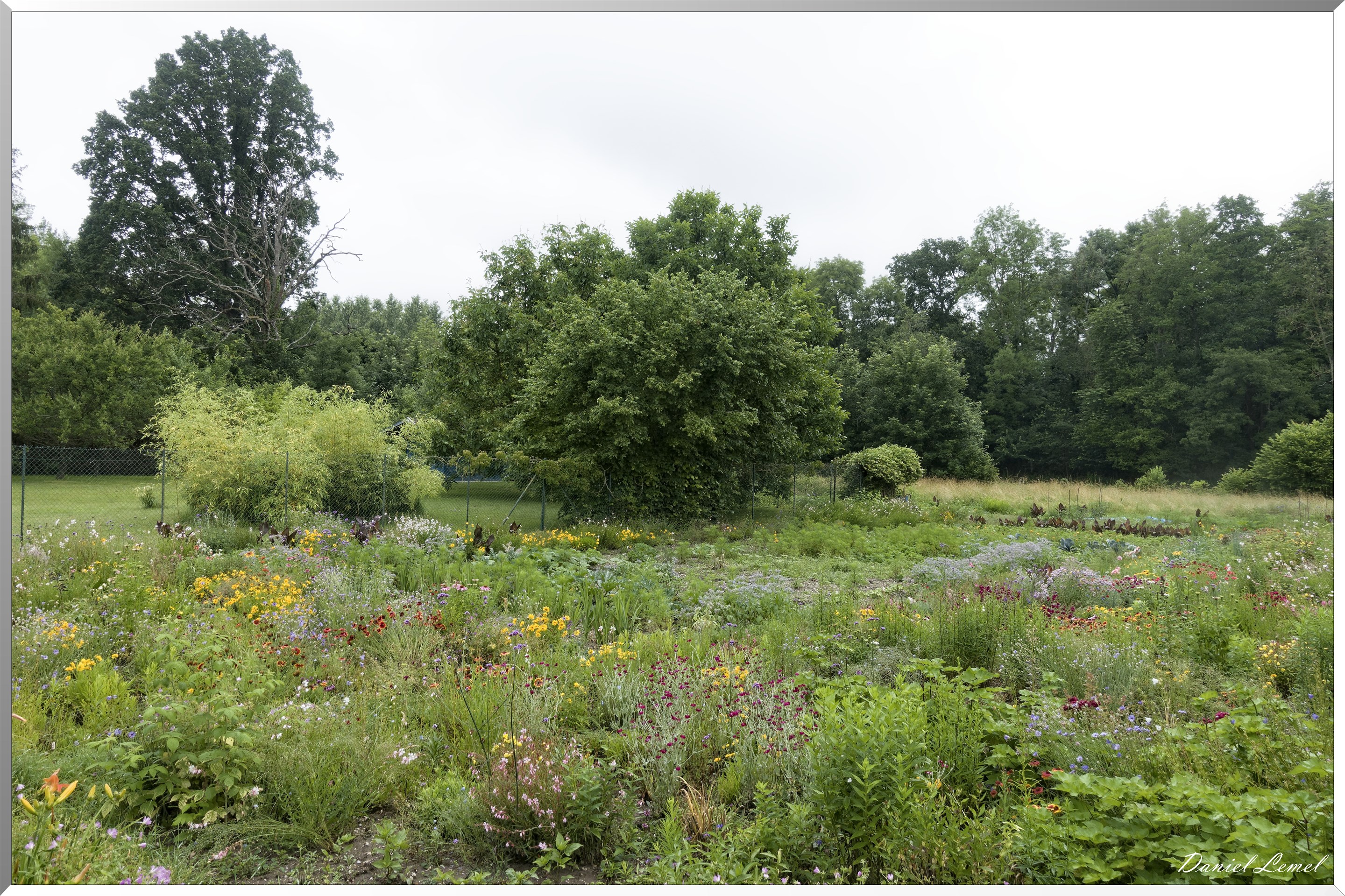 Saint-Geneviève-les-Gasny