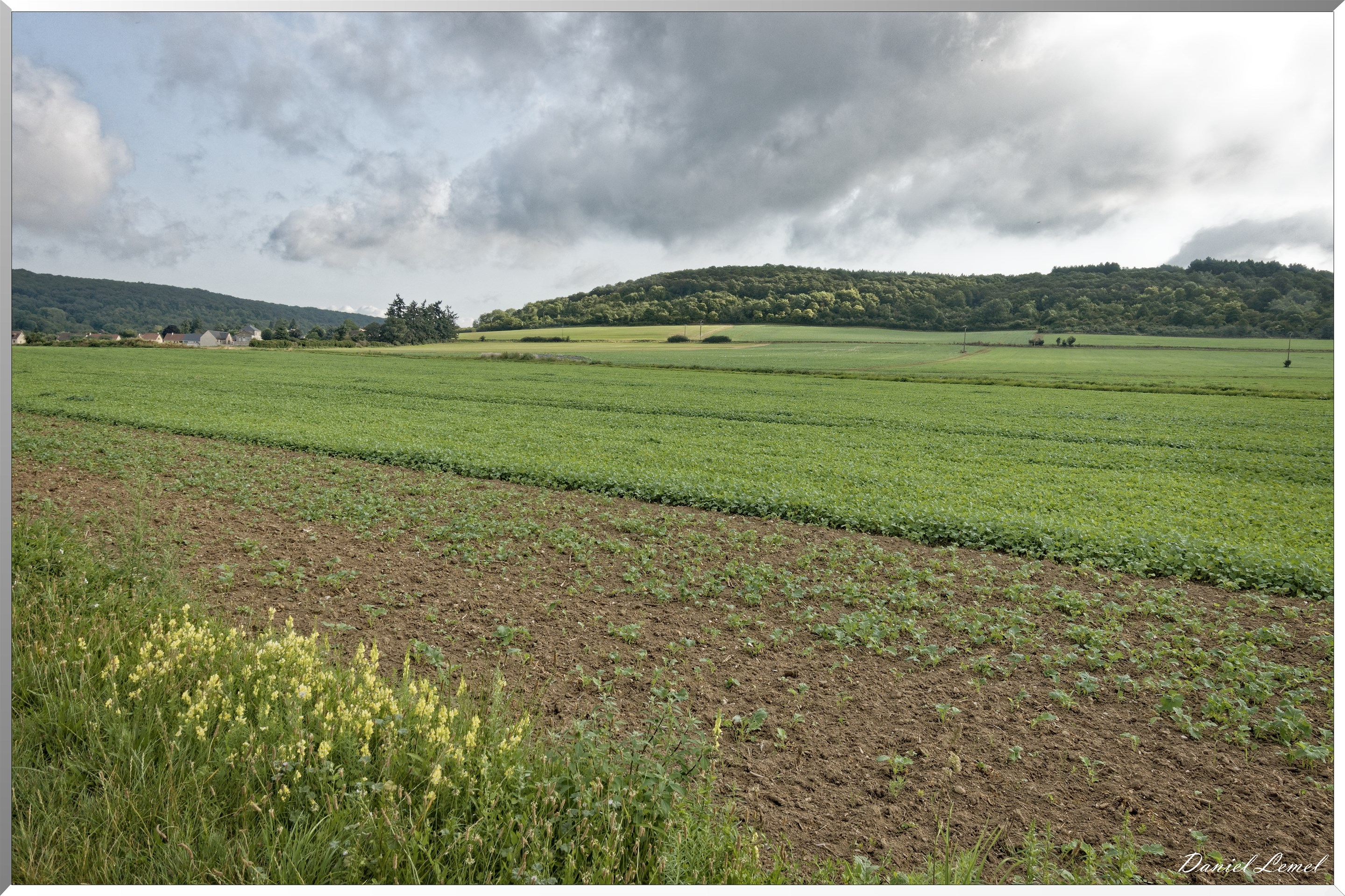 Notre-Dame-de-l'Isle