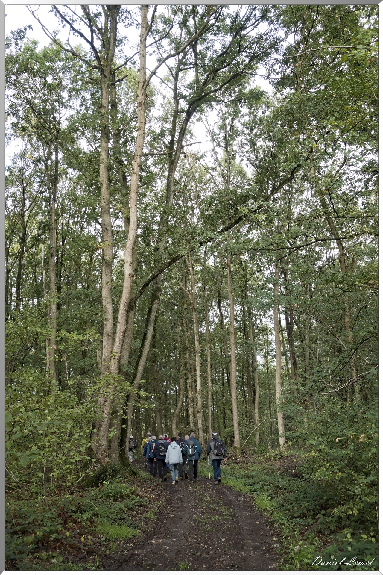 Bois-Jérôme-Saint-Ouen